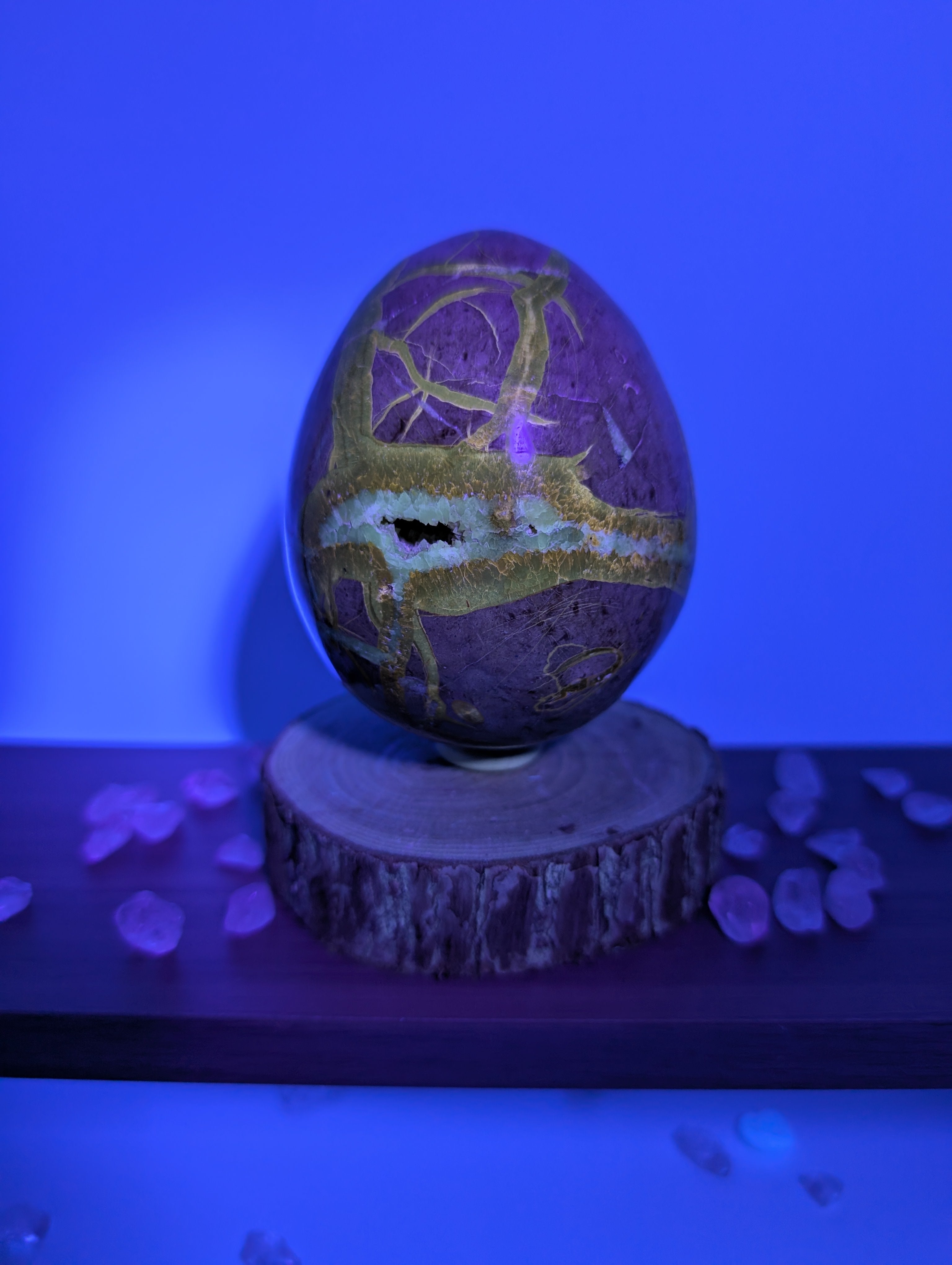 Septarien Eier