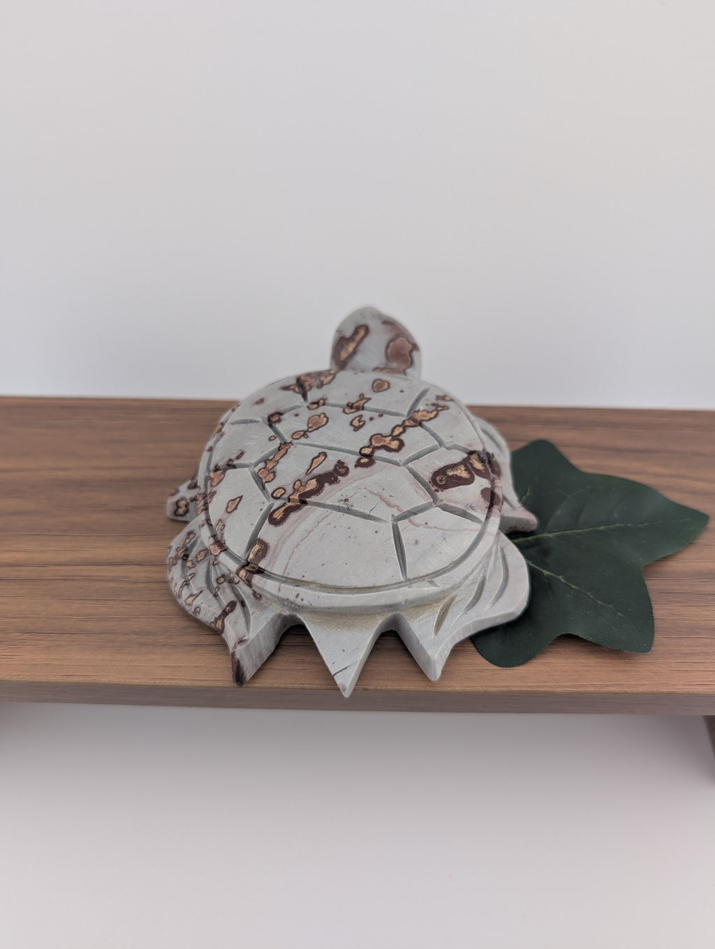 Bilder Jaspis Schildkröte
