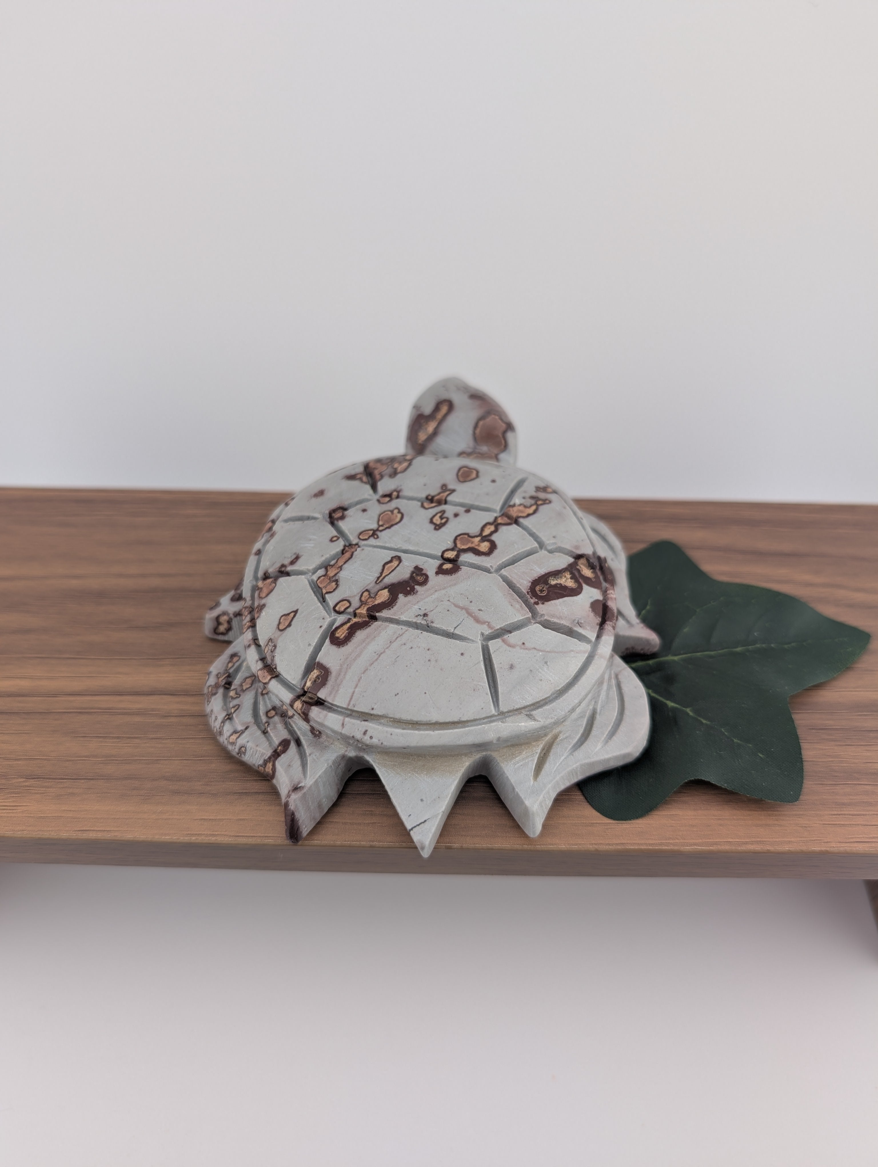 Bilder Jaspis Schildkröte