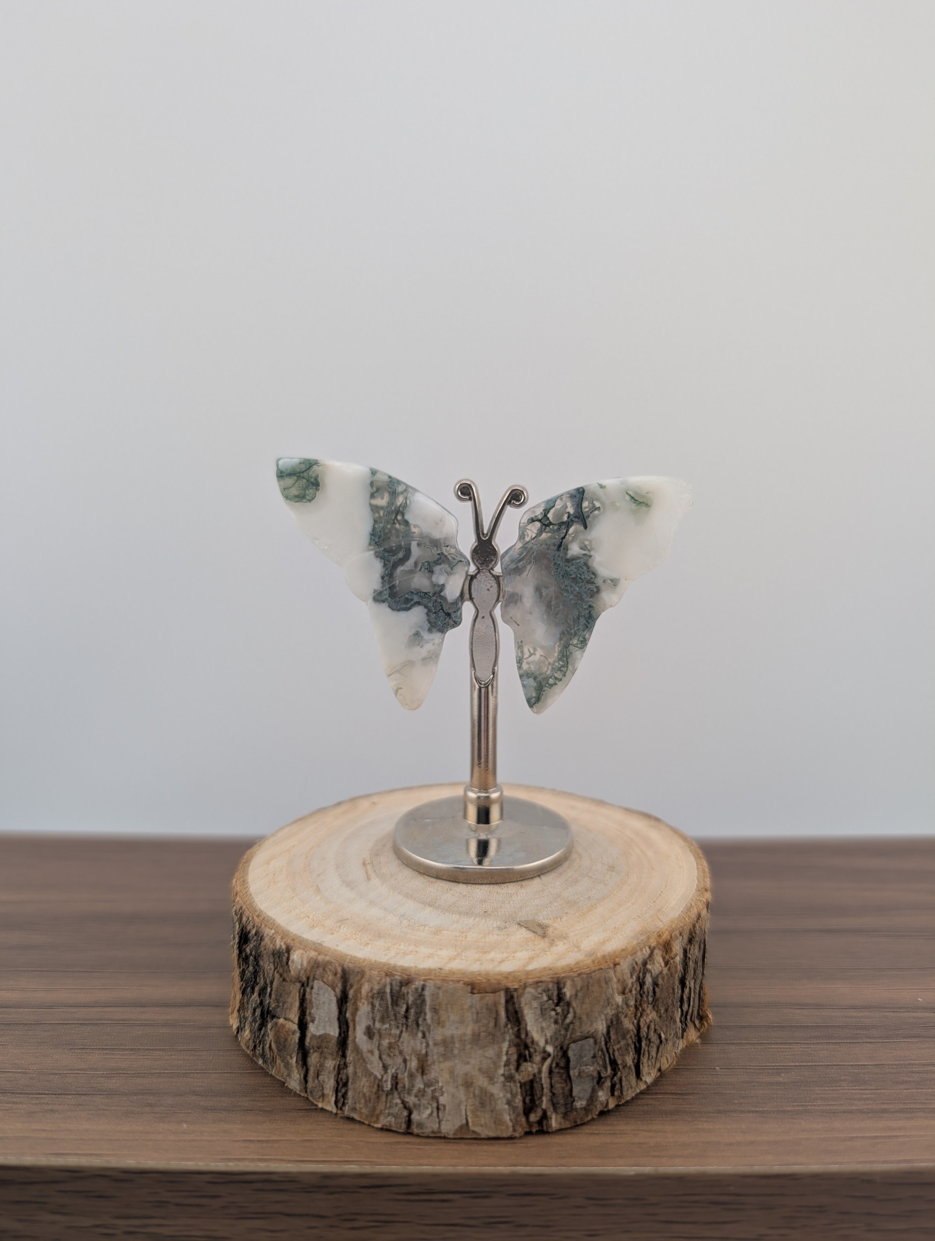 Moosacht Schmetterling, mini