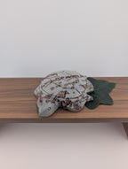 Bilder Jaspis Schildkröte