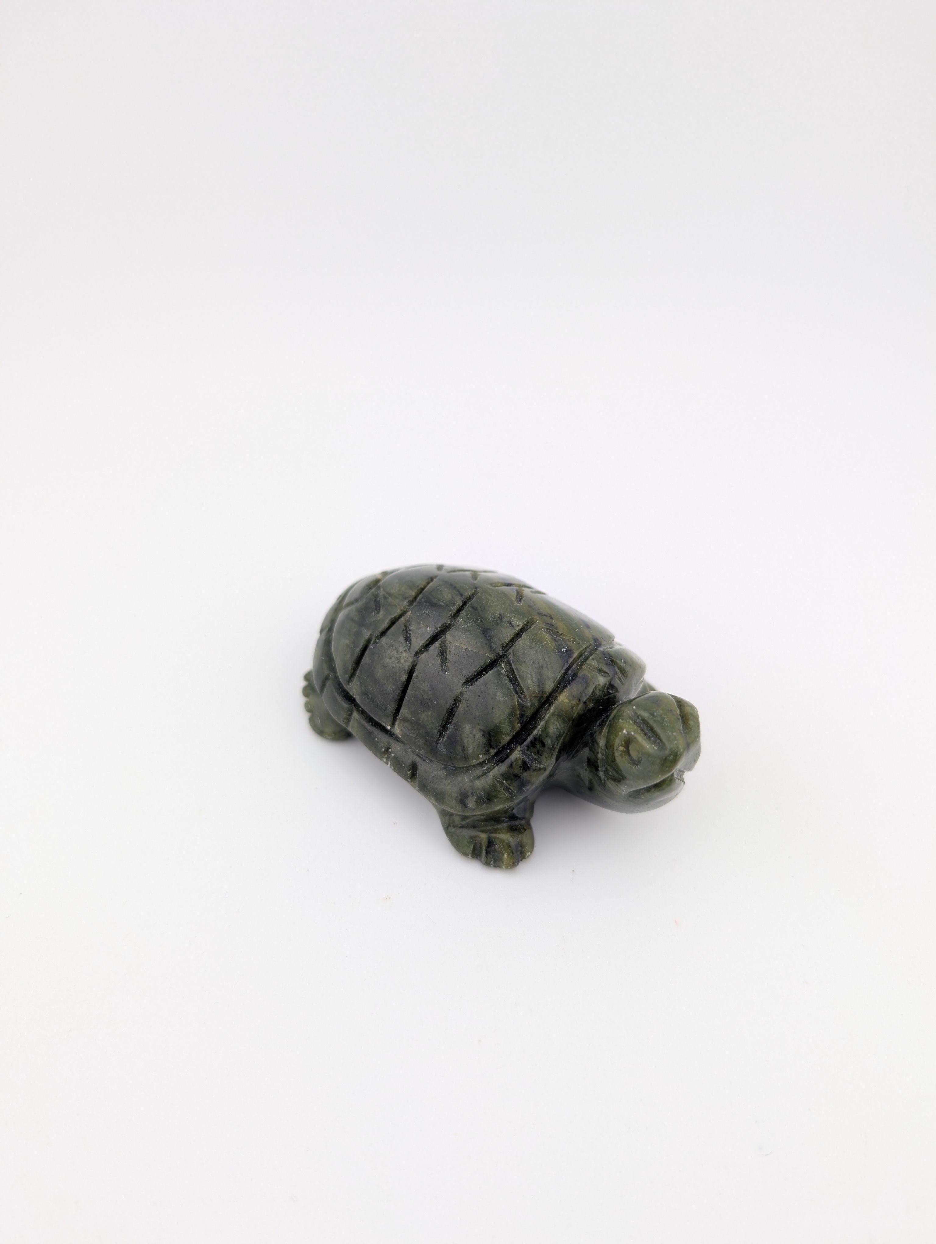 Grüne Jade Schildkröte