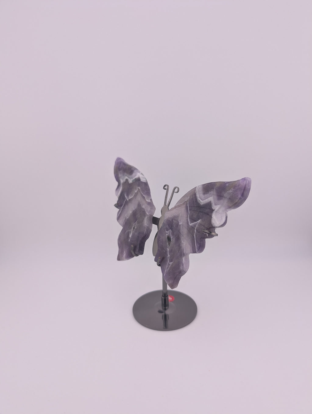 Traum Amethyst Schmetterling