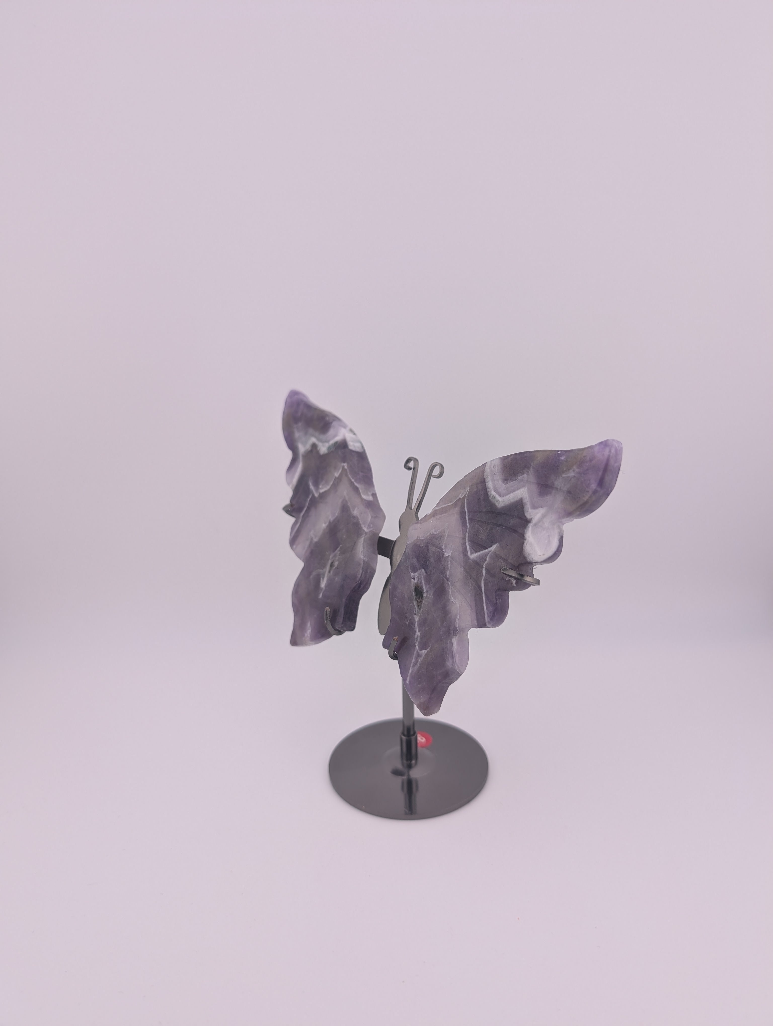 Traum Amethyst Schmetterling