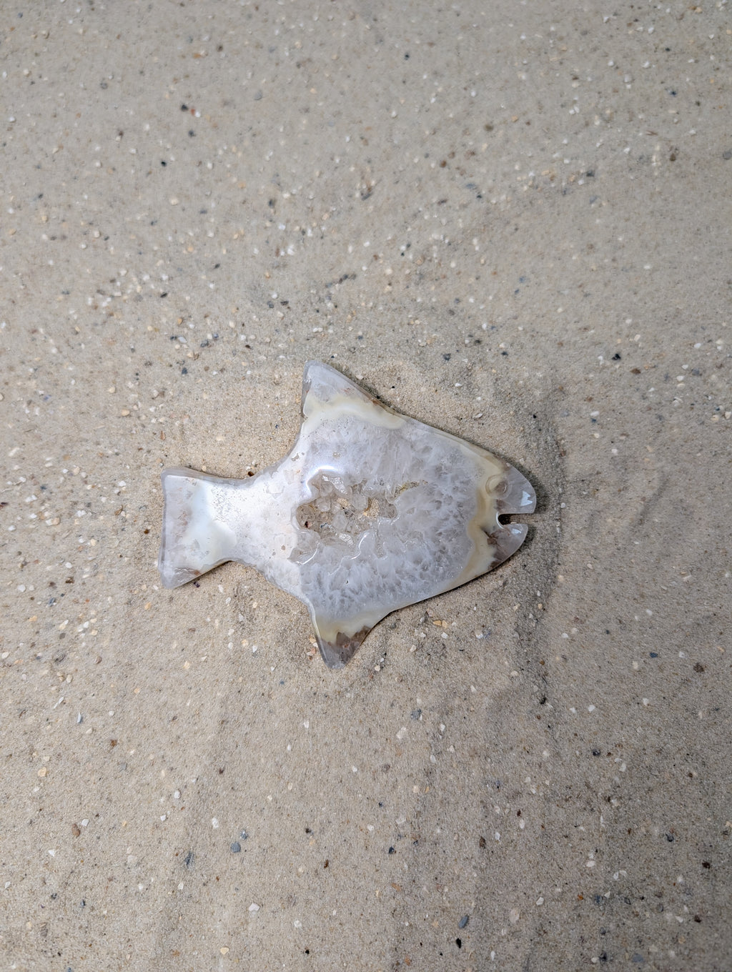 Achat Fisch
