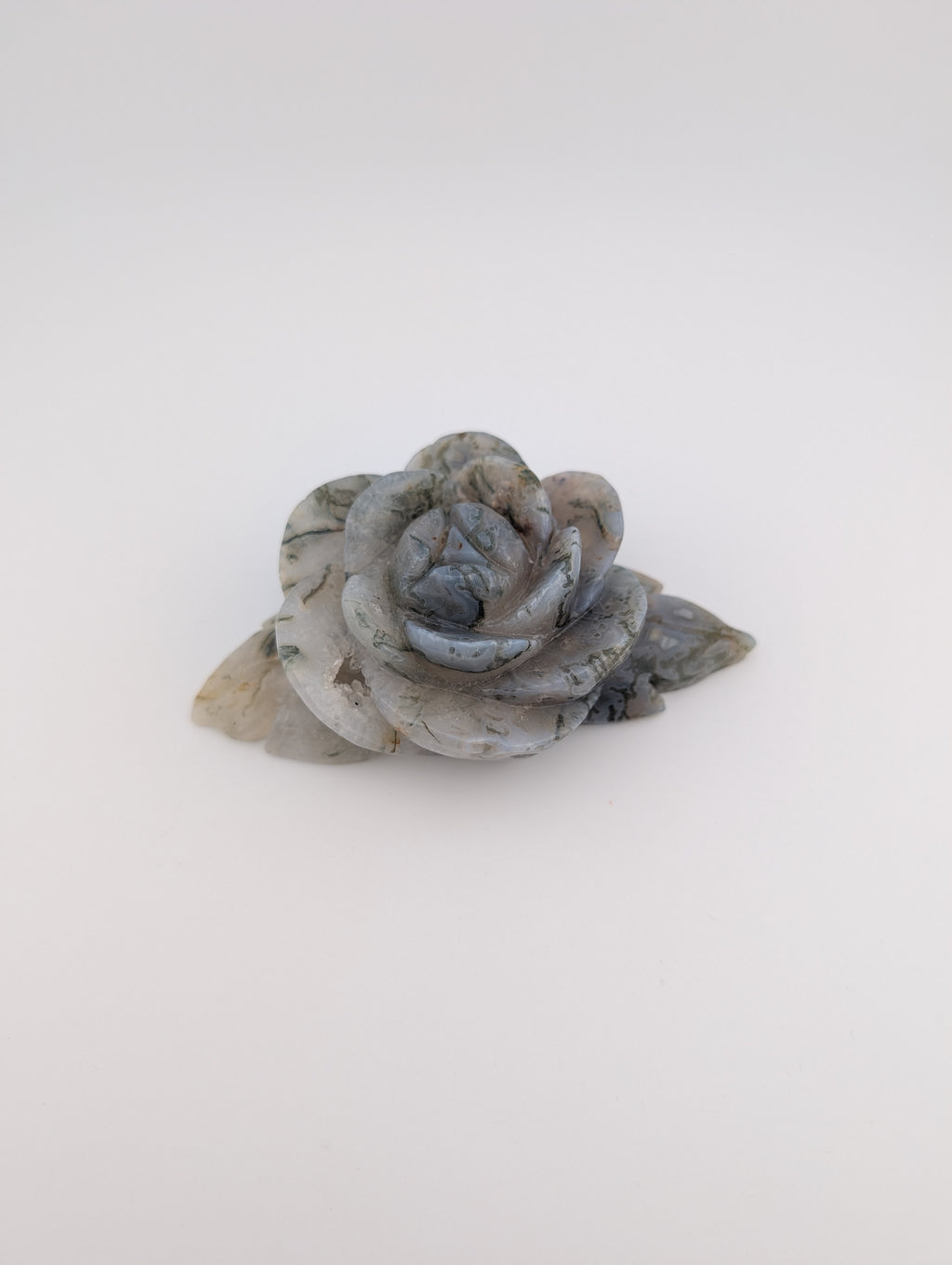 Moosachat Blume
