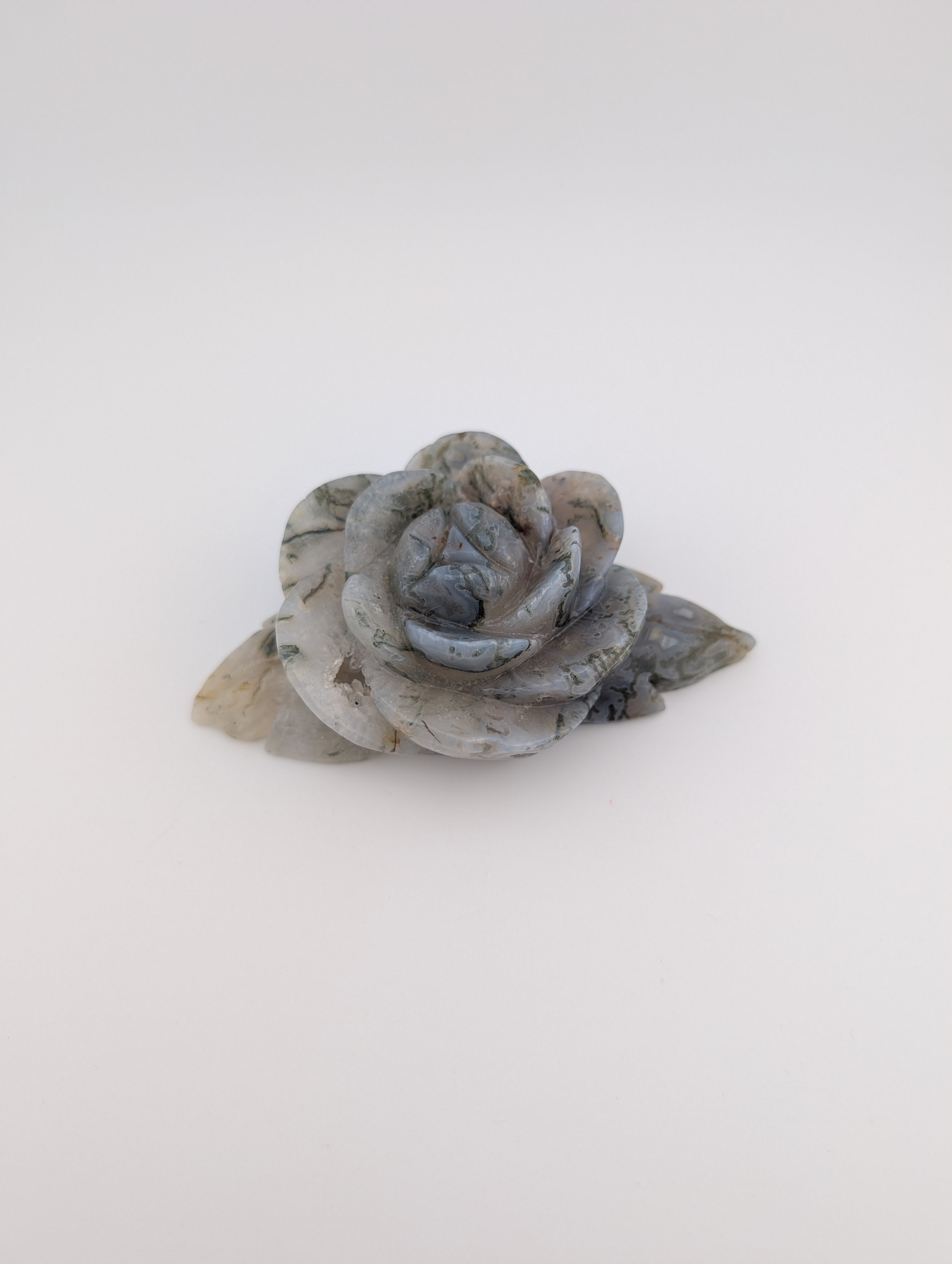 Moosachat Blume