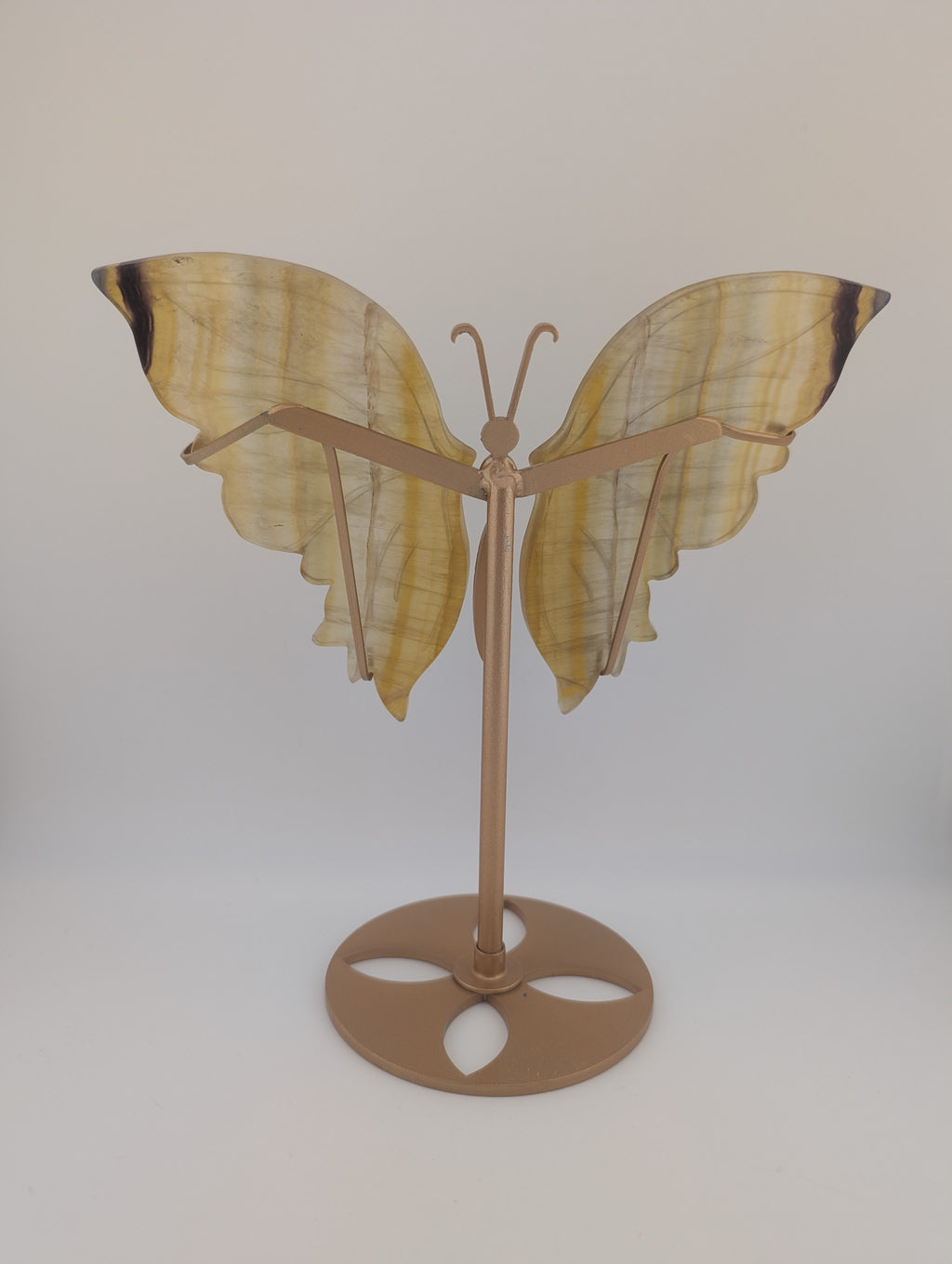 Fluorit Schmetterling auf Ständer