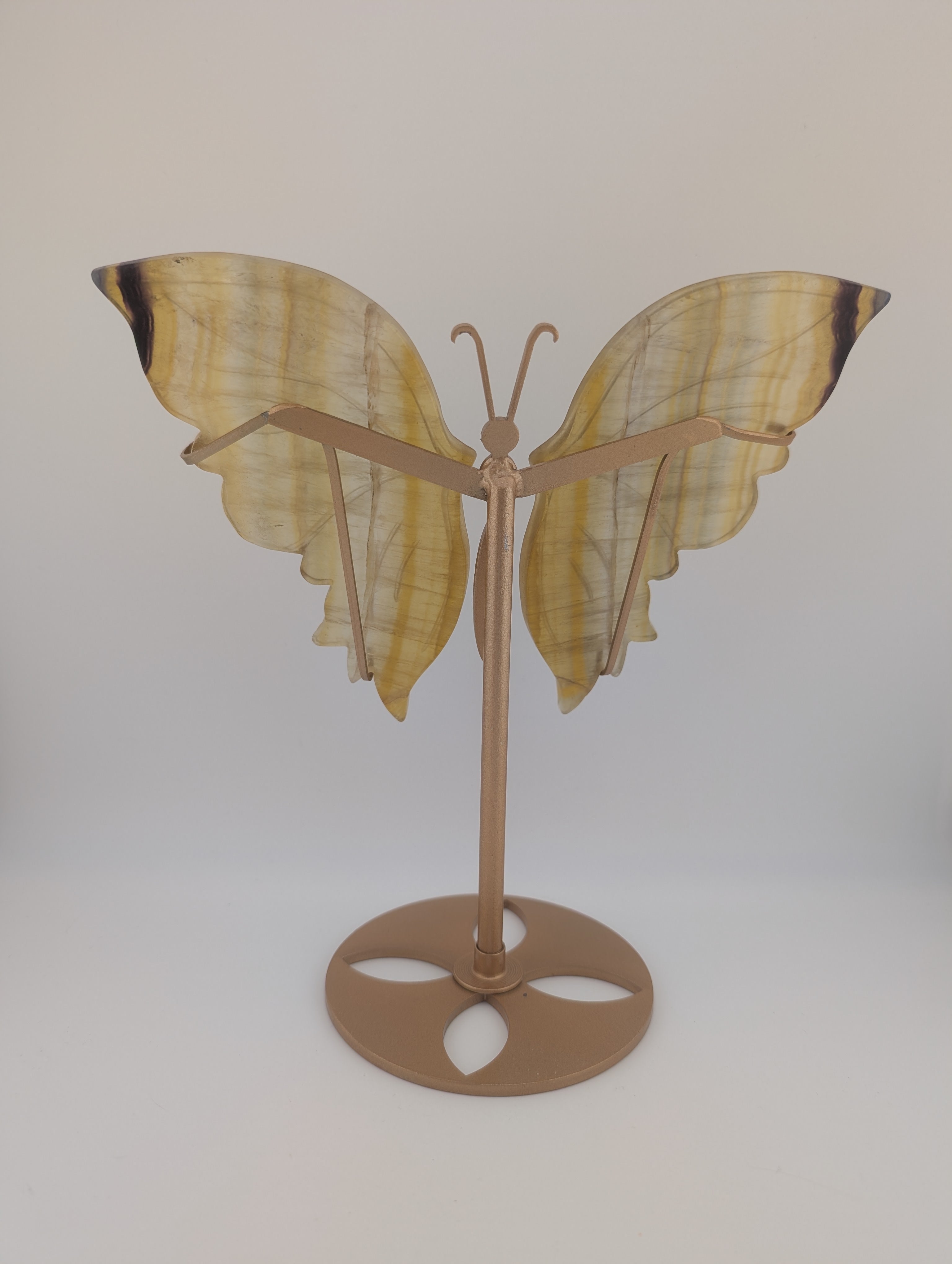 Fluorit Schmetterling auf Ständer