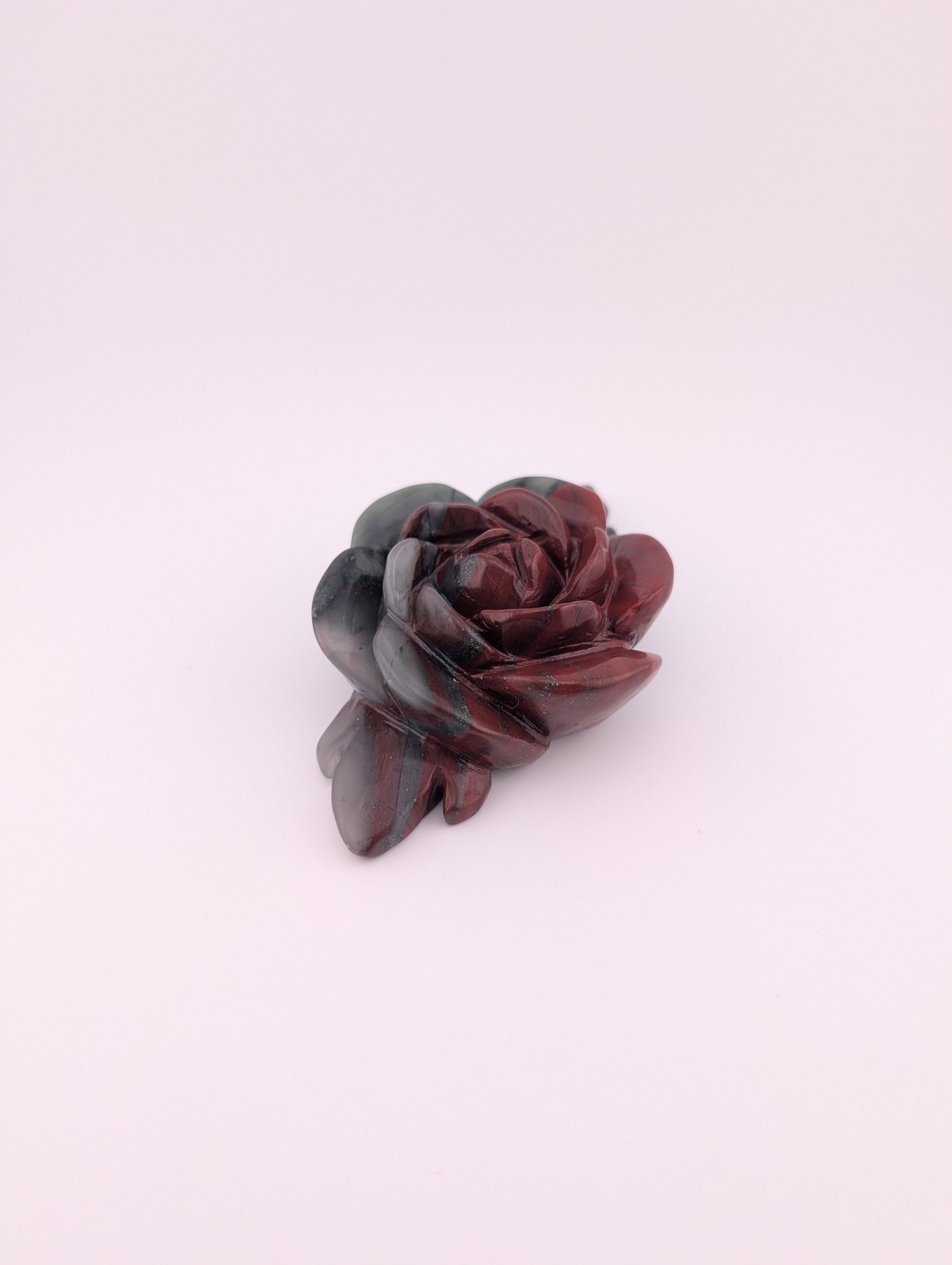 Afrikanischer Blutstein Blume