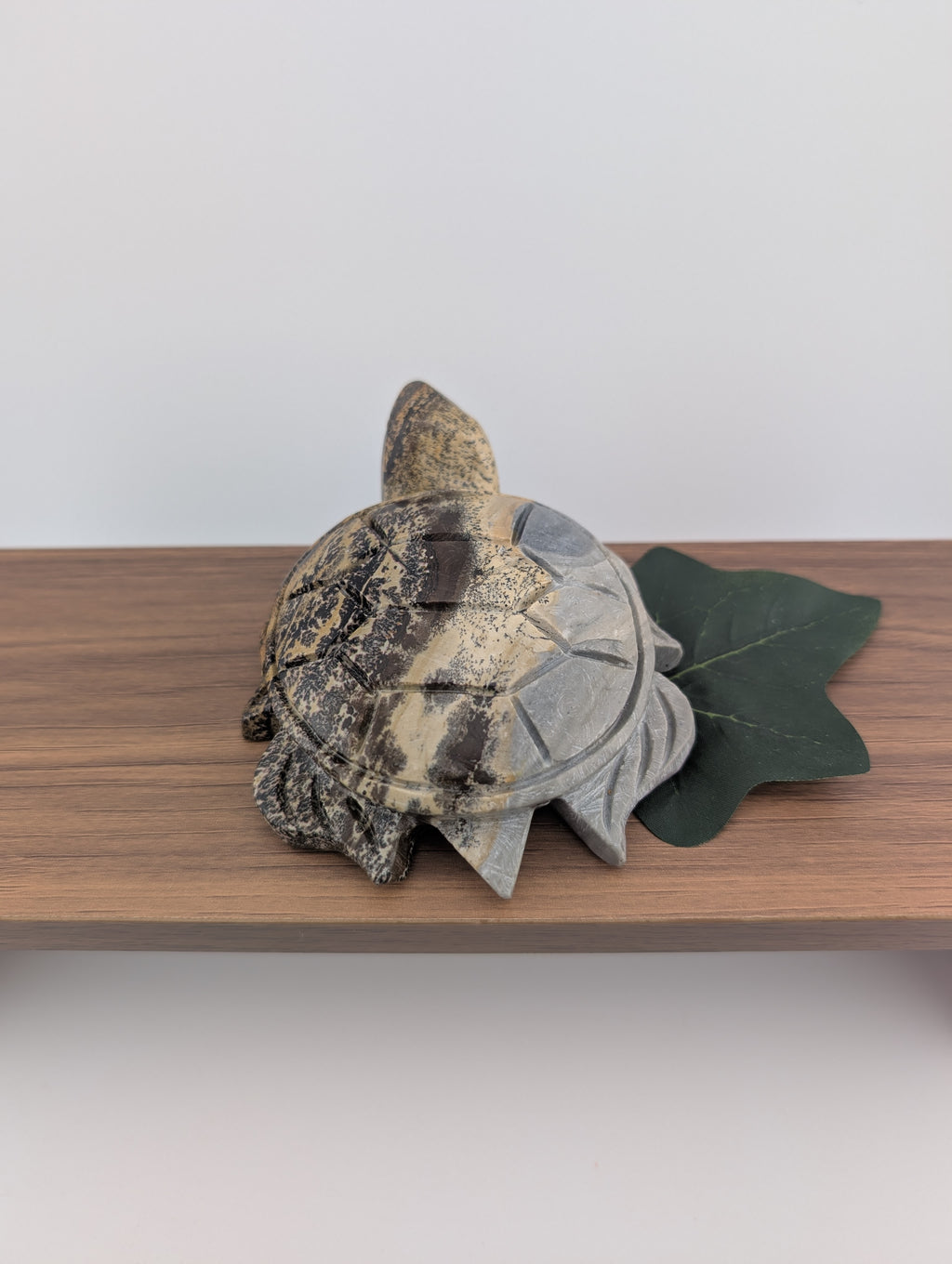 Bilder Jaspis Schildkröte