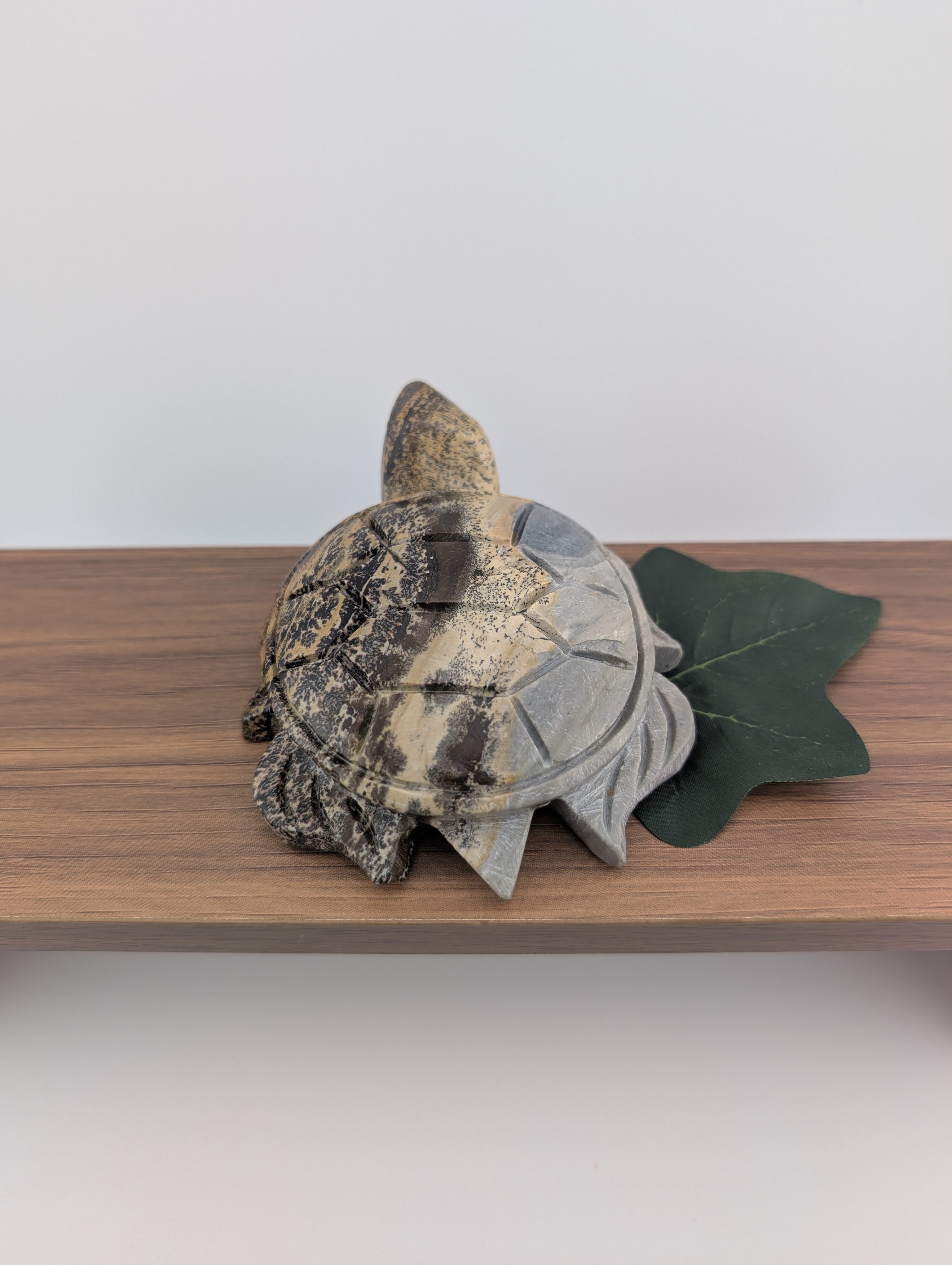 Bilder Jaspis Schildkröte