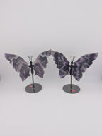 Traum Amethyst Schmetterling