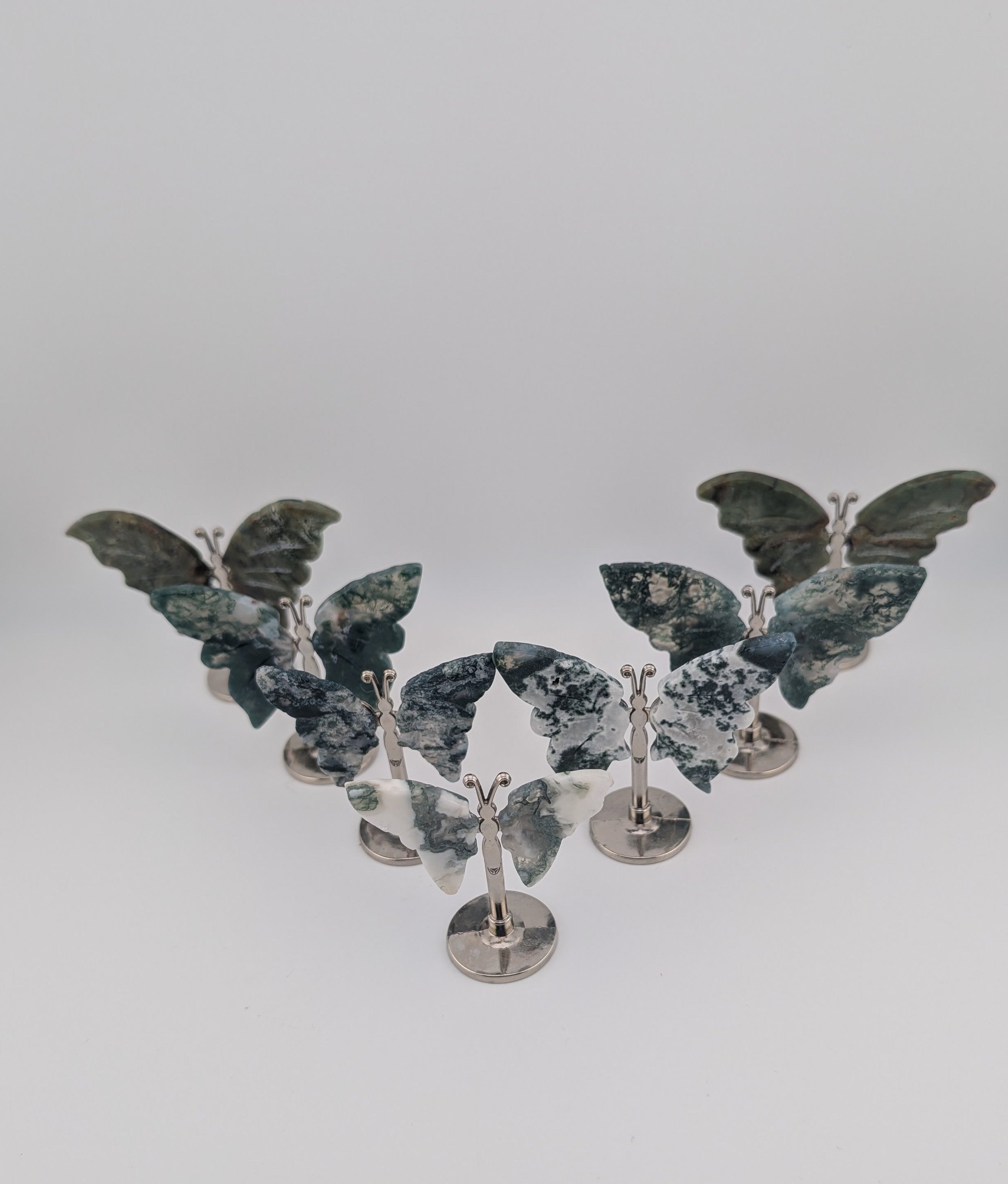 Moosacht Schmetterling, mini