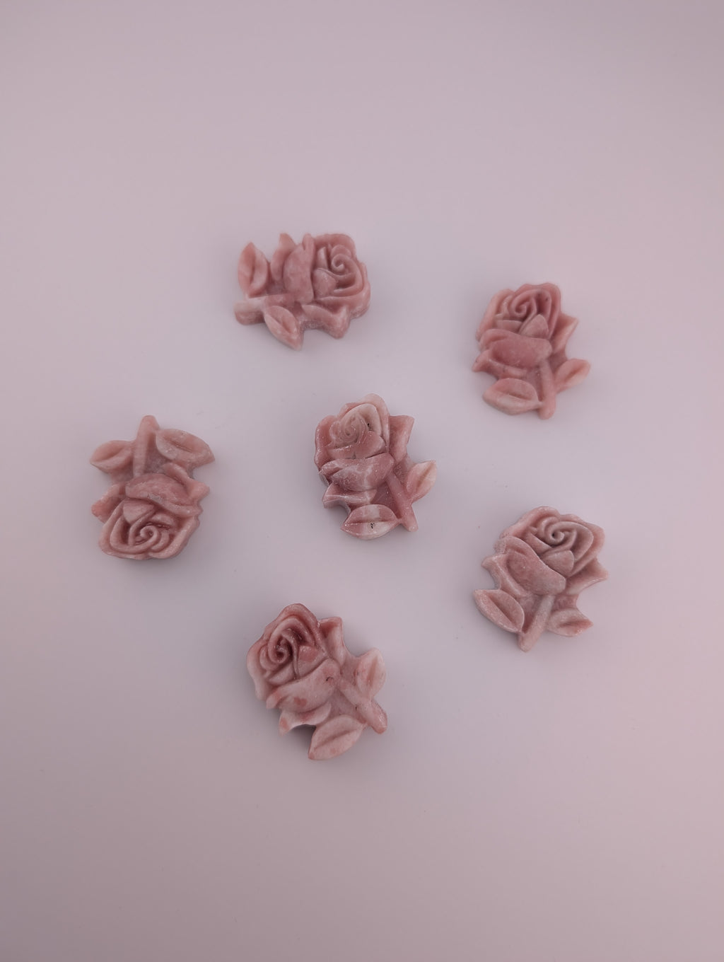 Pinker Opal Rose