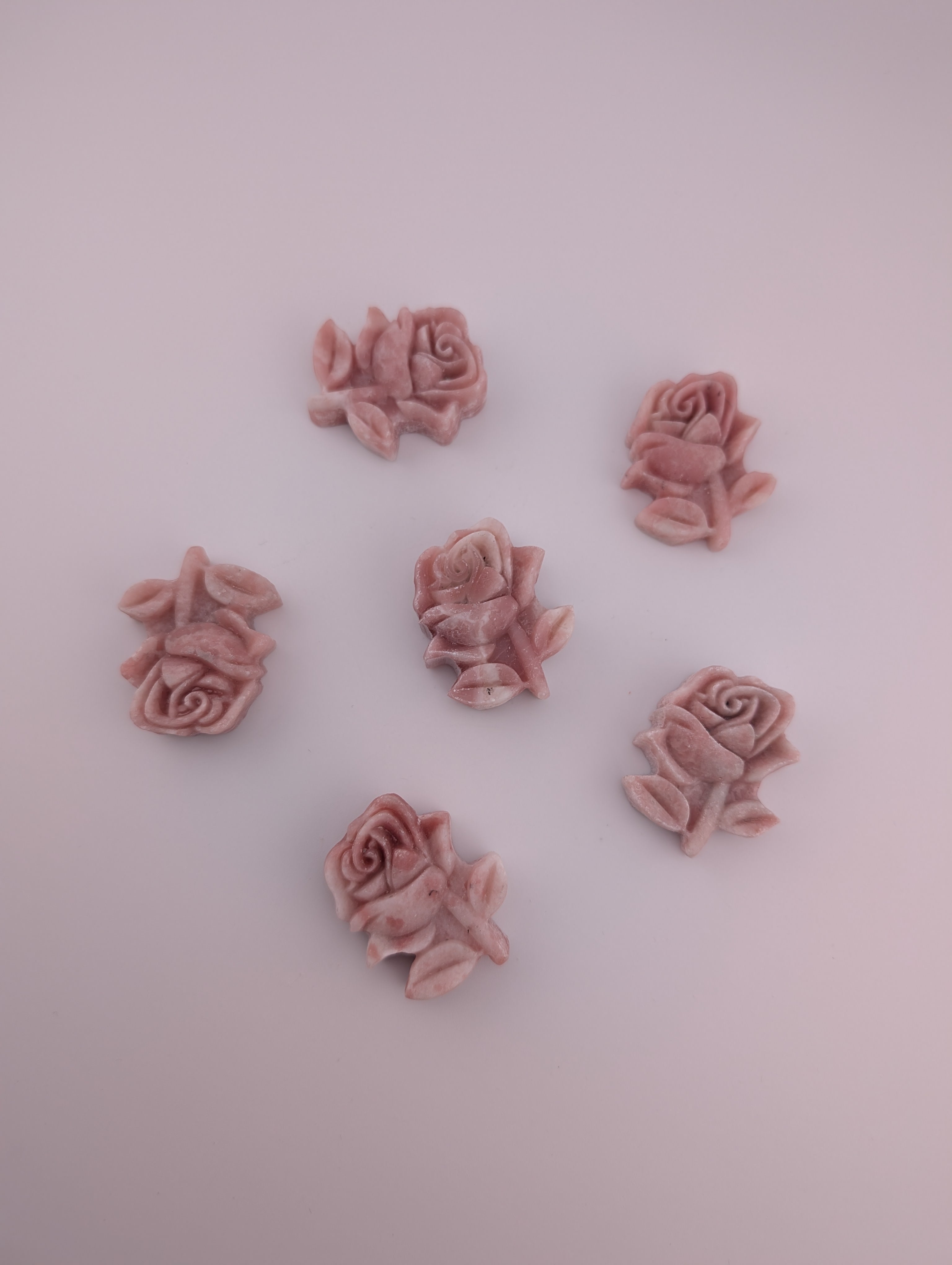 Pinker Opal Rose