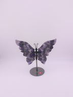 Traum Amethyst Schmetterling