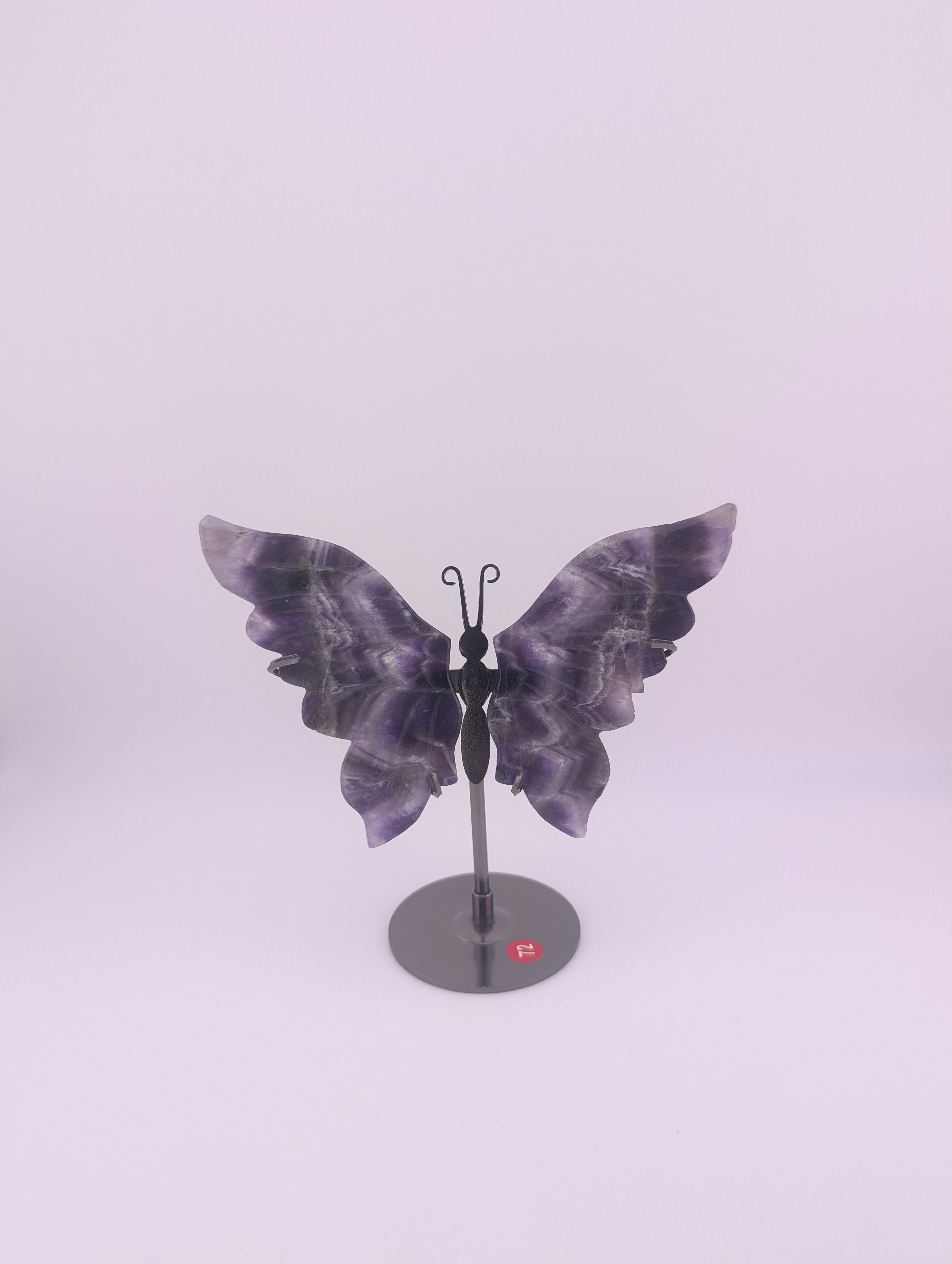 Traum Amethyst Schmetterling