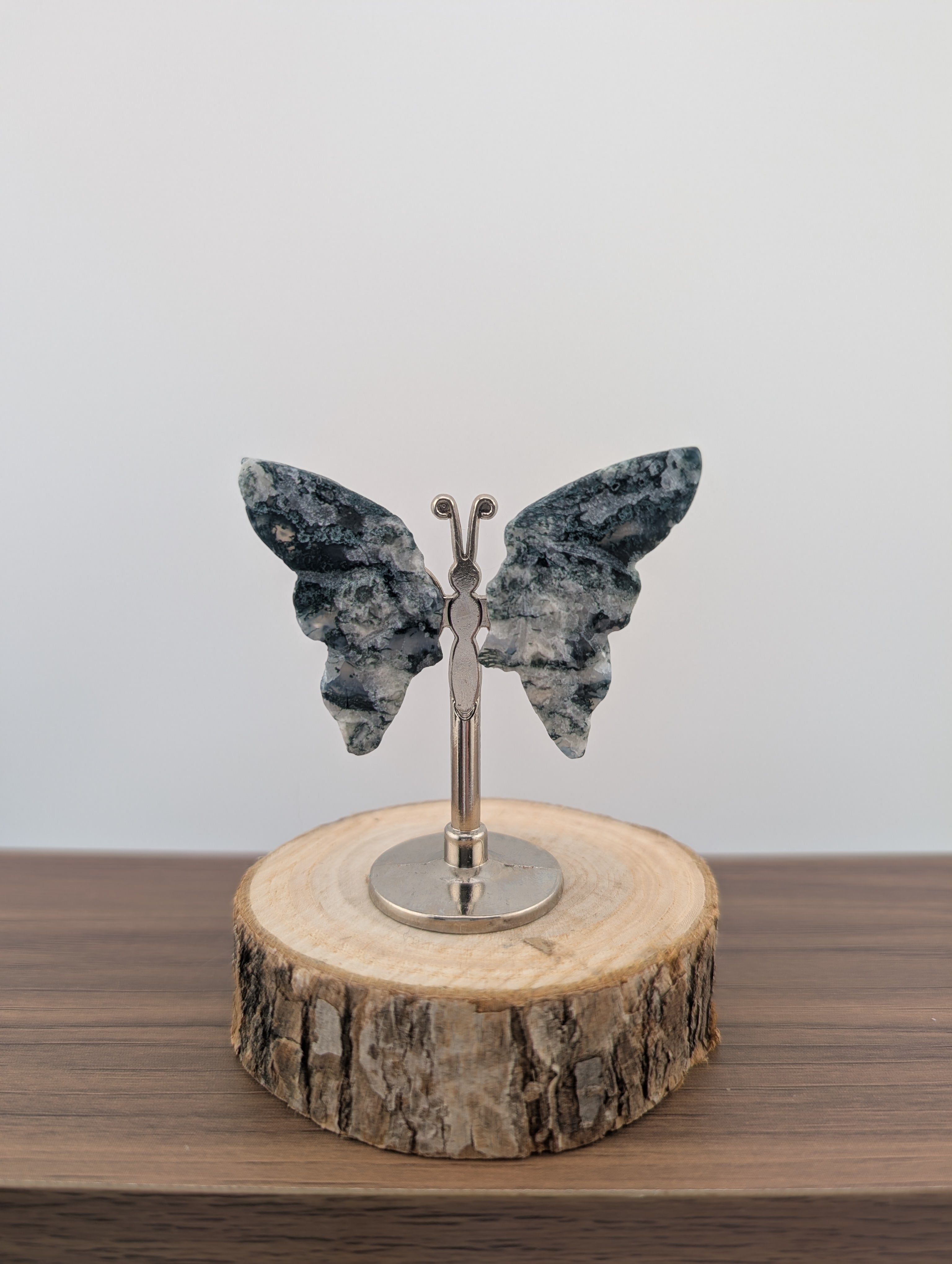 Moosacht Schmetterling, mini