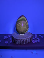 Septarien Eier