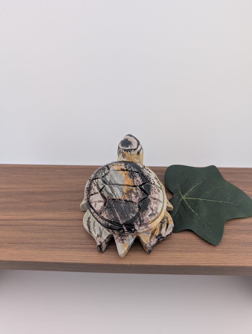 Bilder Jaspis Schildkröte