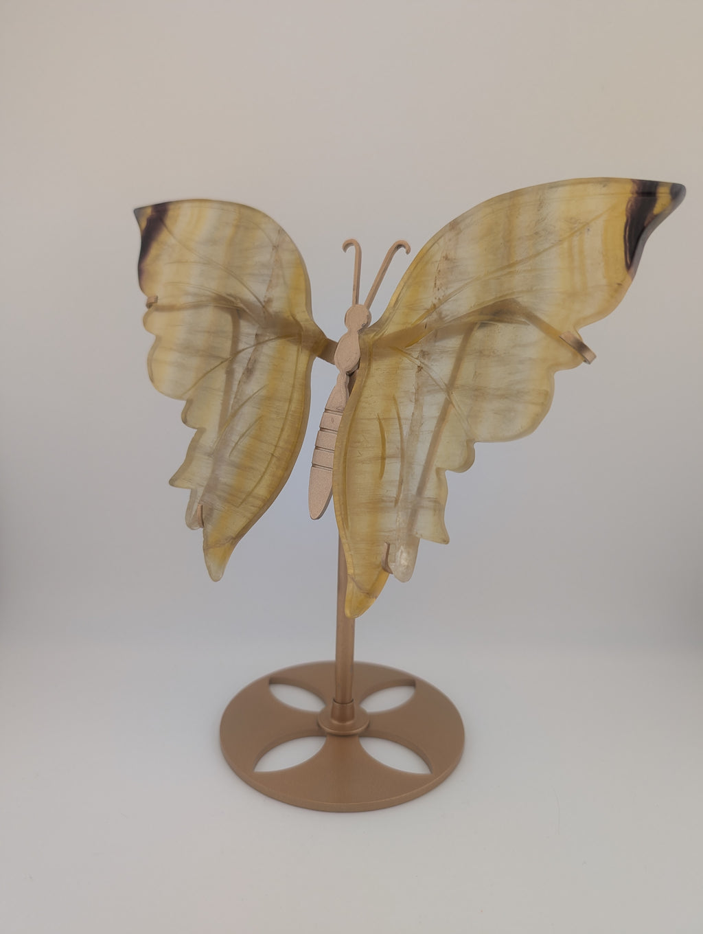 Fluorit Schmetterling auf Ständer