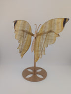 Fluorit Schmetterling auf Ständer