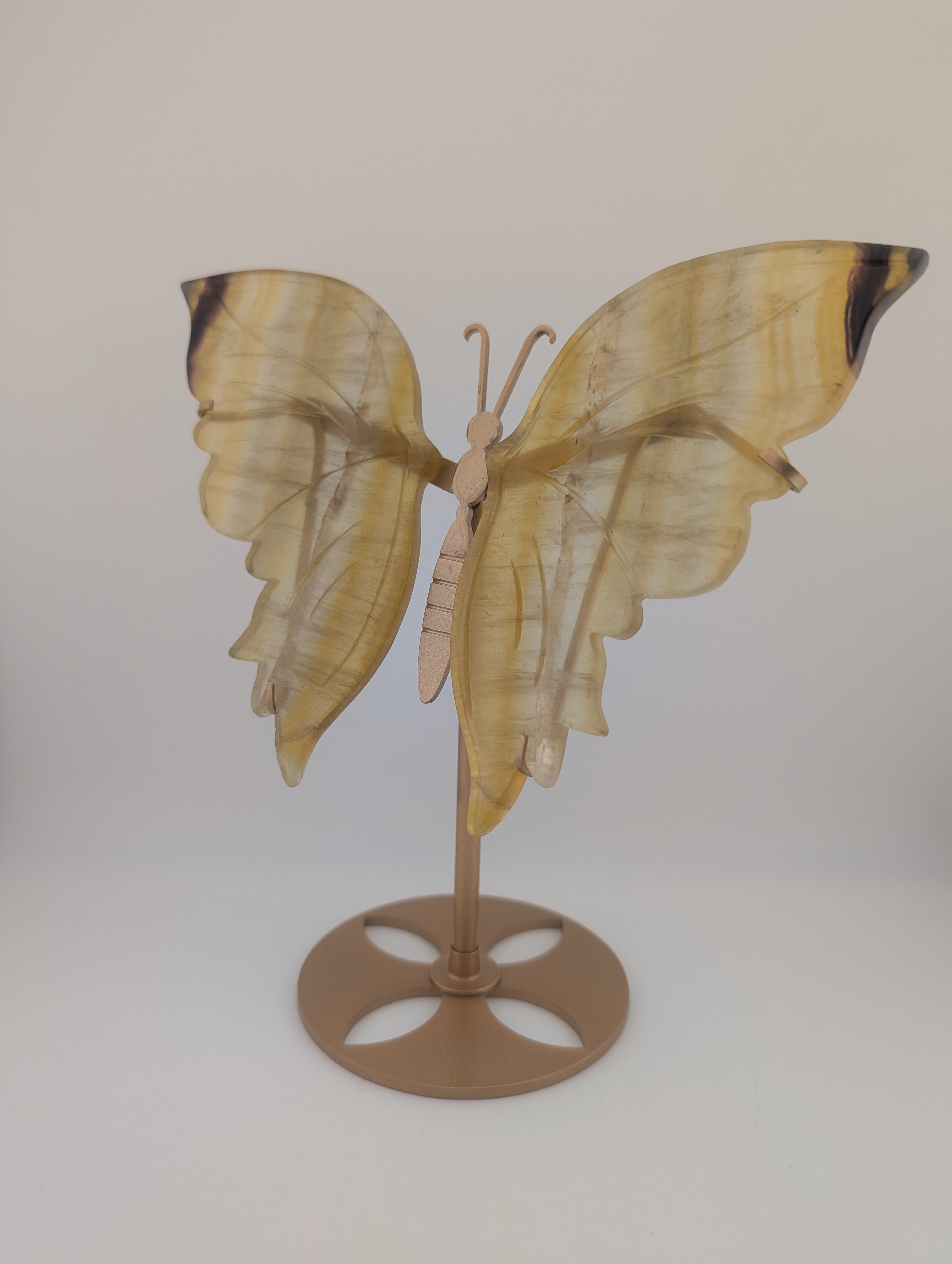 Fluorit Schmetterling auf Ständer