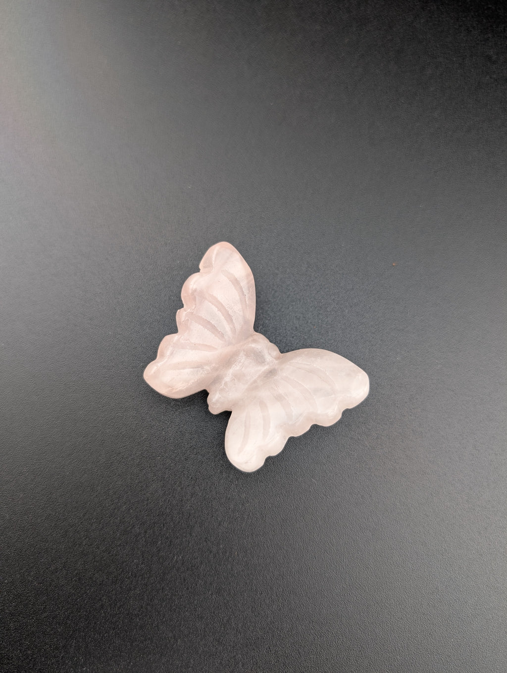 kleiner Schmetterling