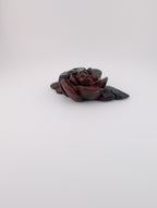 Afrikanischer Blutstein Blume