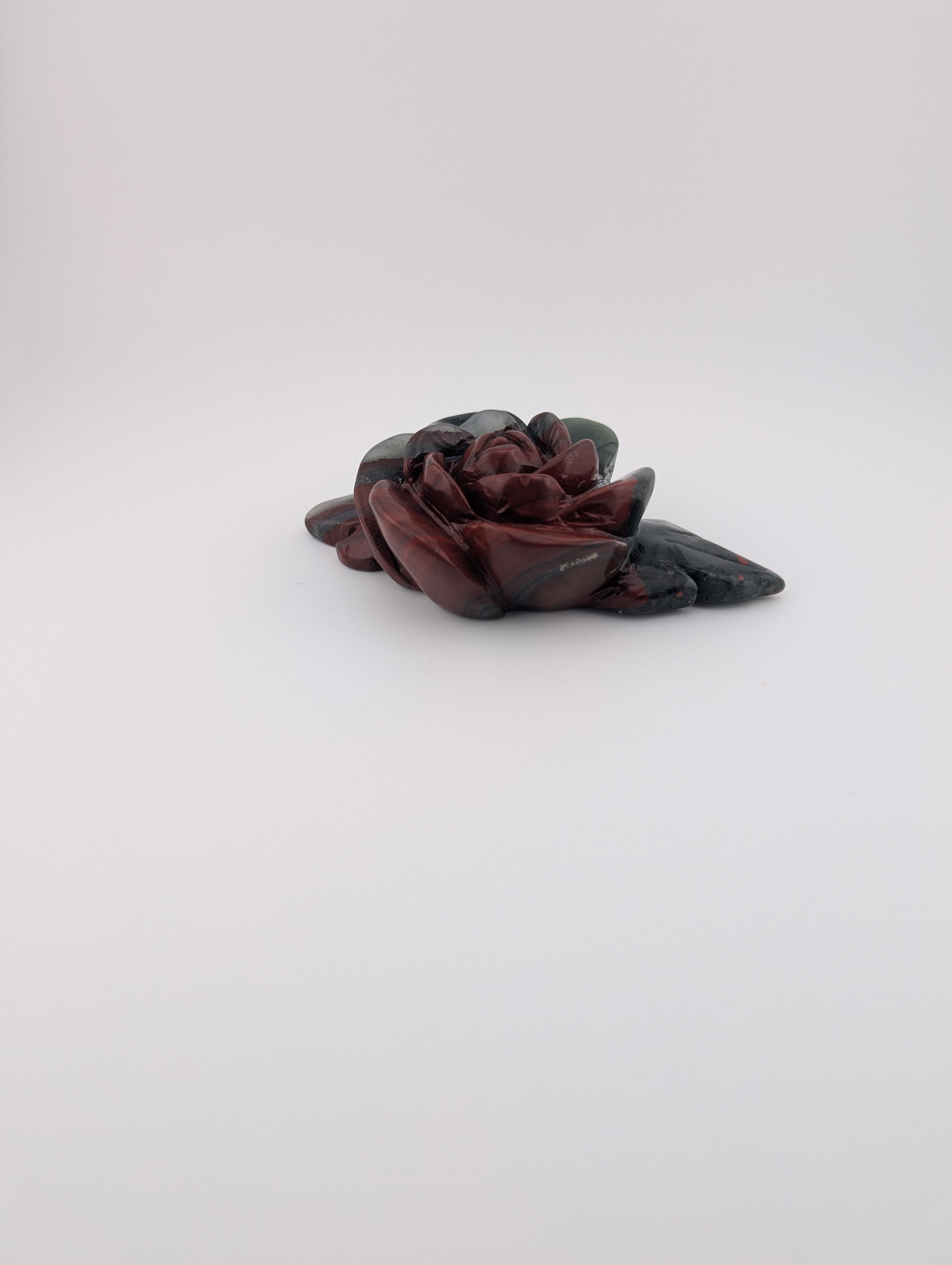 Afrikanischer Blutstein Blume