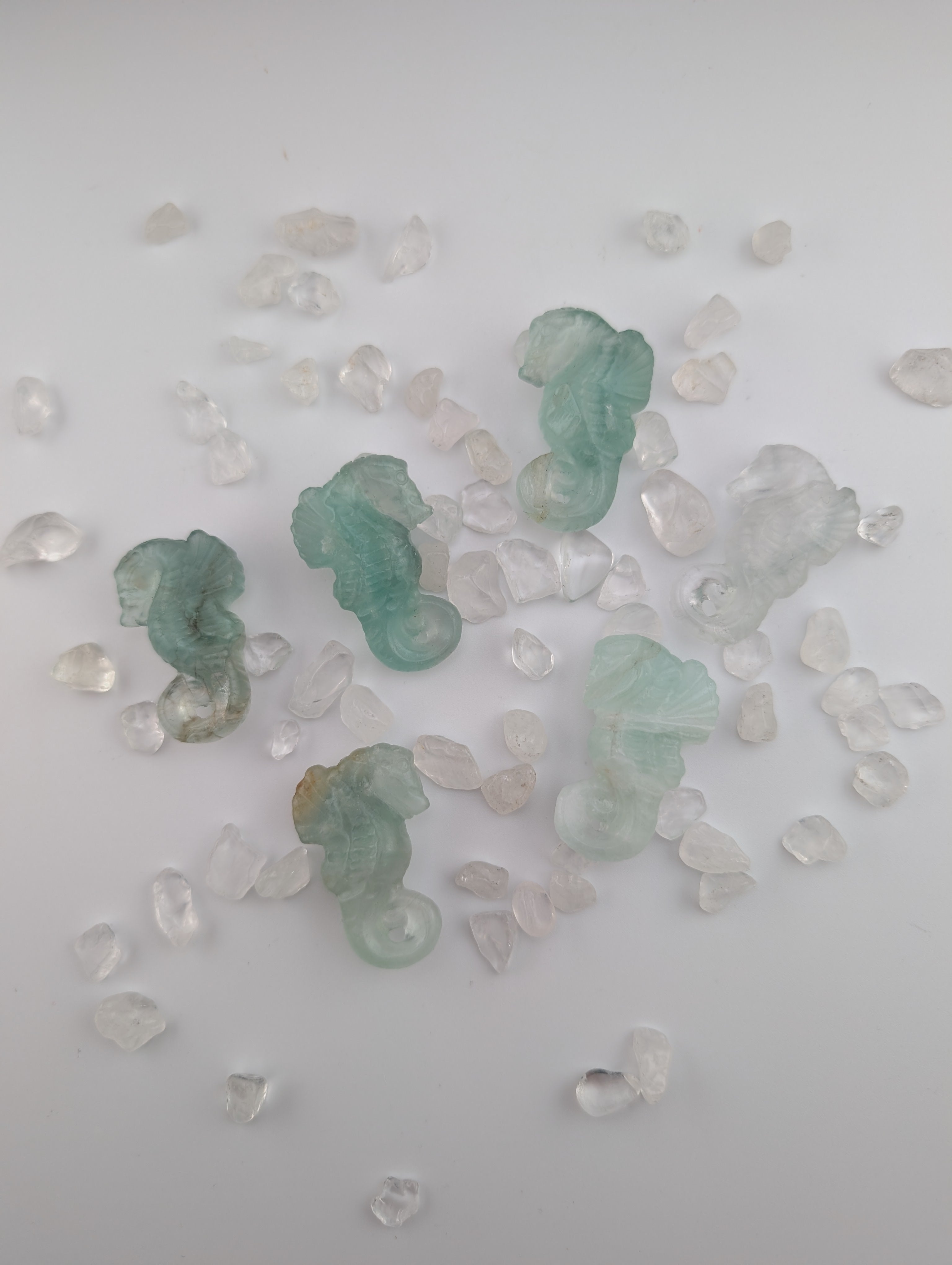 Fluorit Seepferdchen