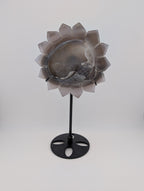 Achat Sonnenblume