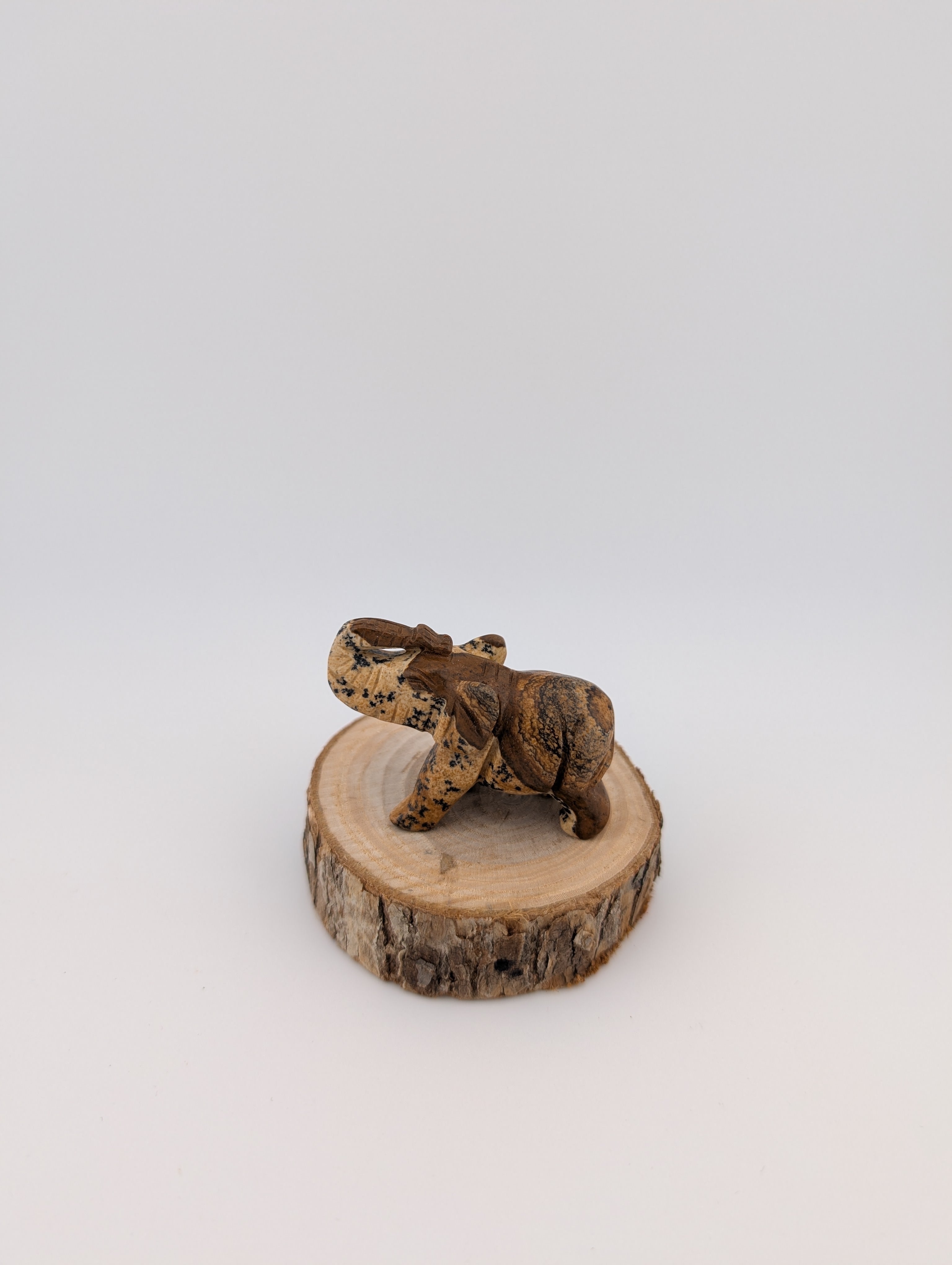 kleiner Elefant