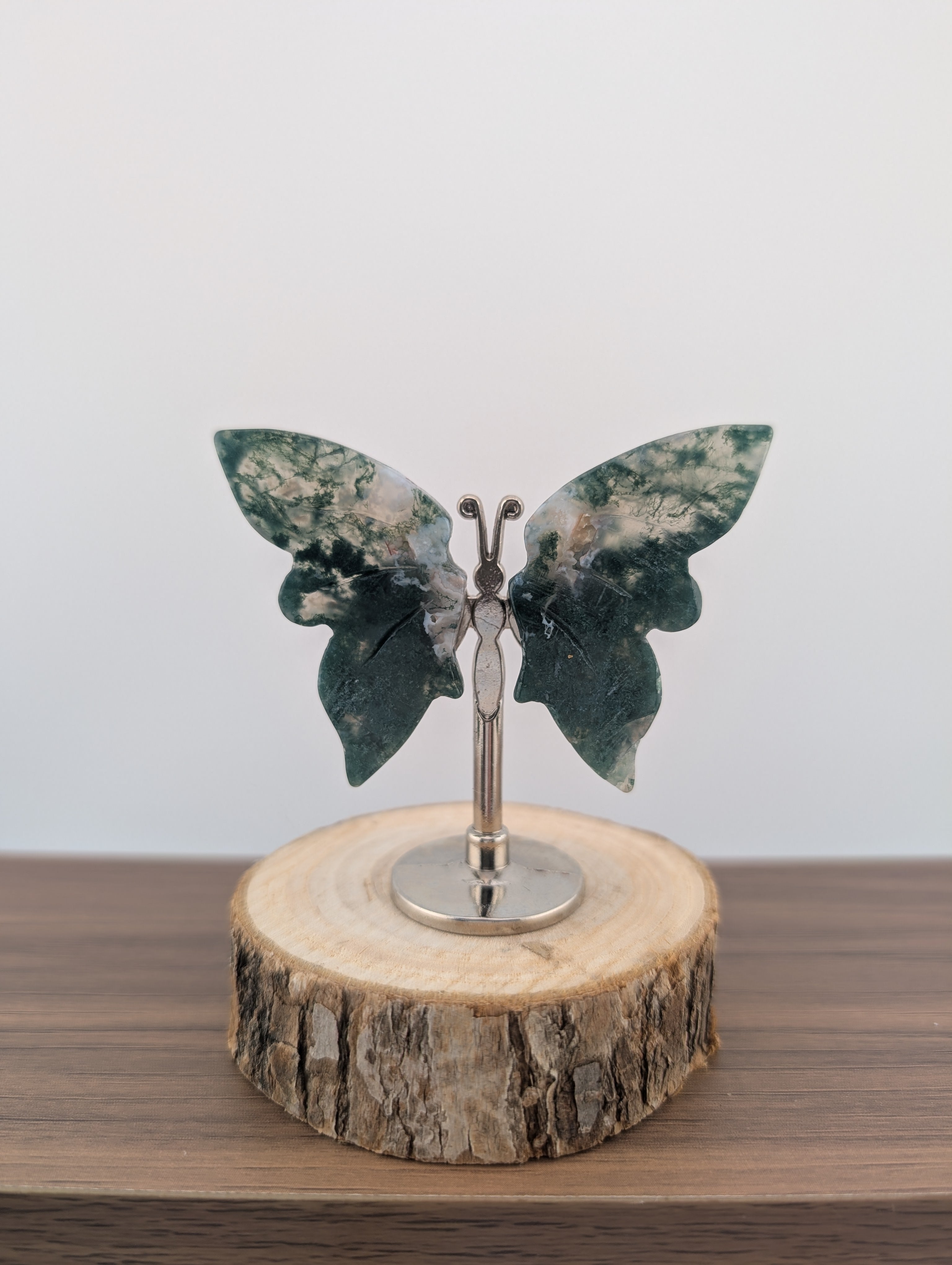 Moosacht Schmetterling, mini