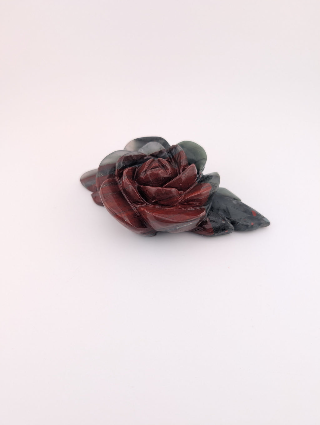 Afrikanischer Blutstein Blume