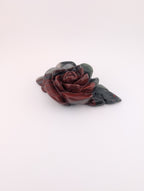Afrikanischer Blutstein Blume