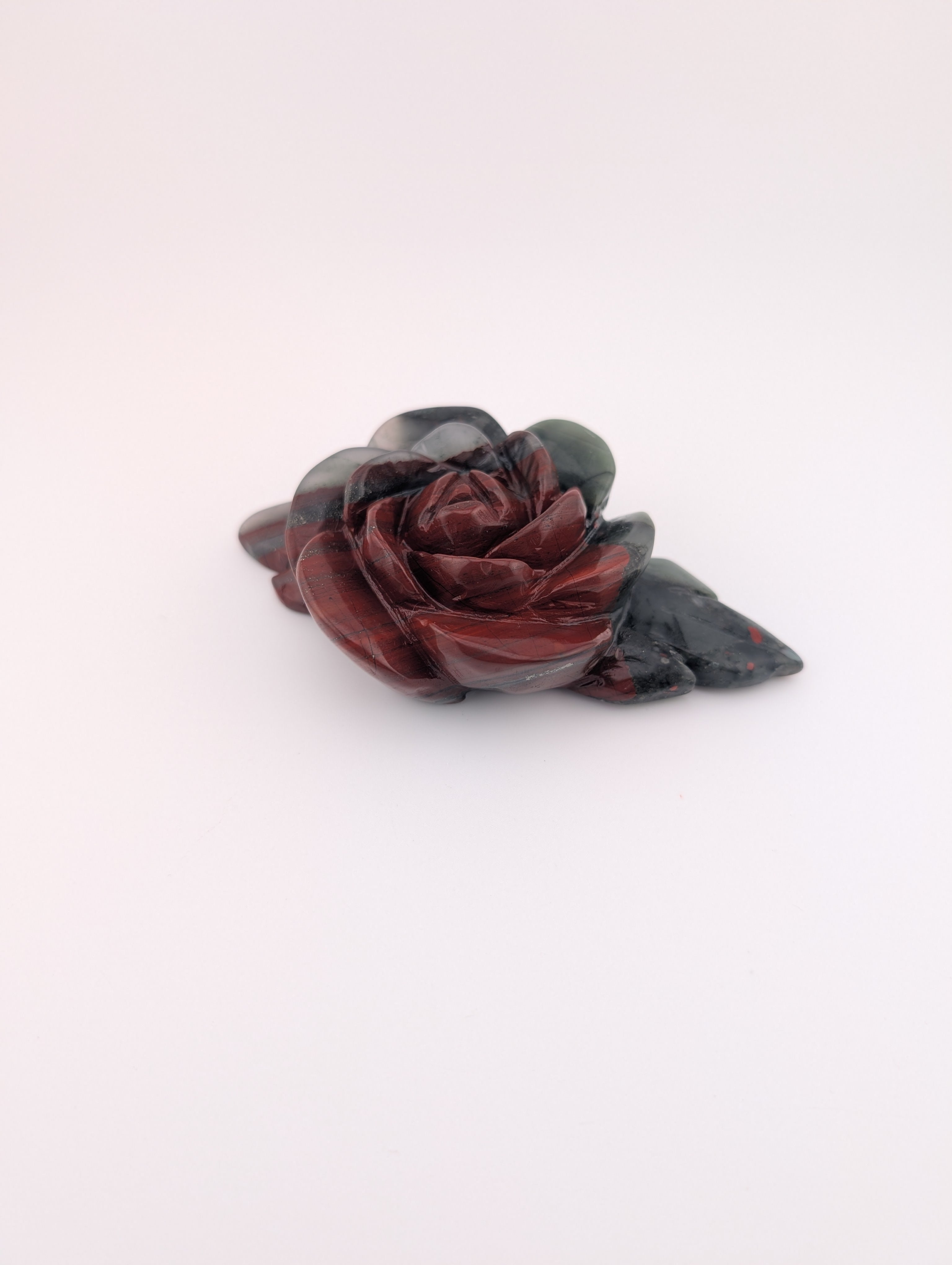 Afrikanischer Blutstein Blume