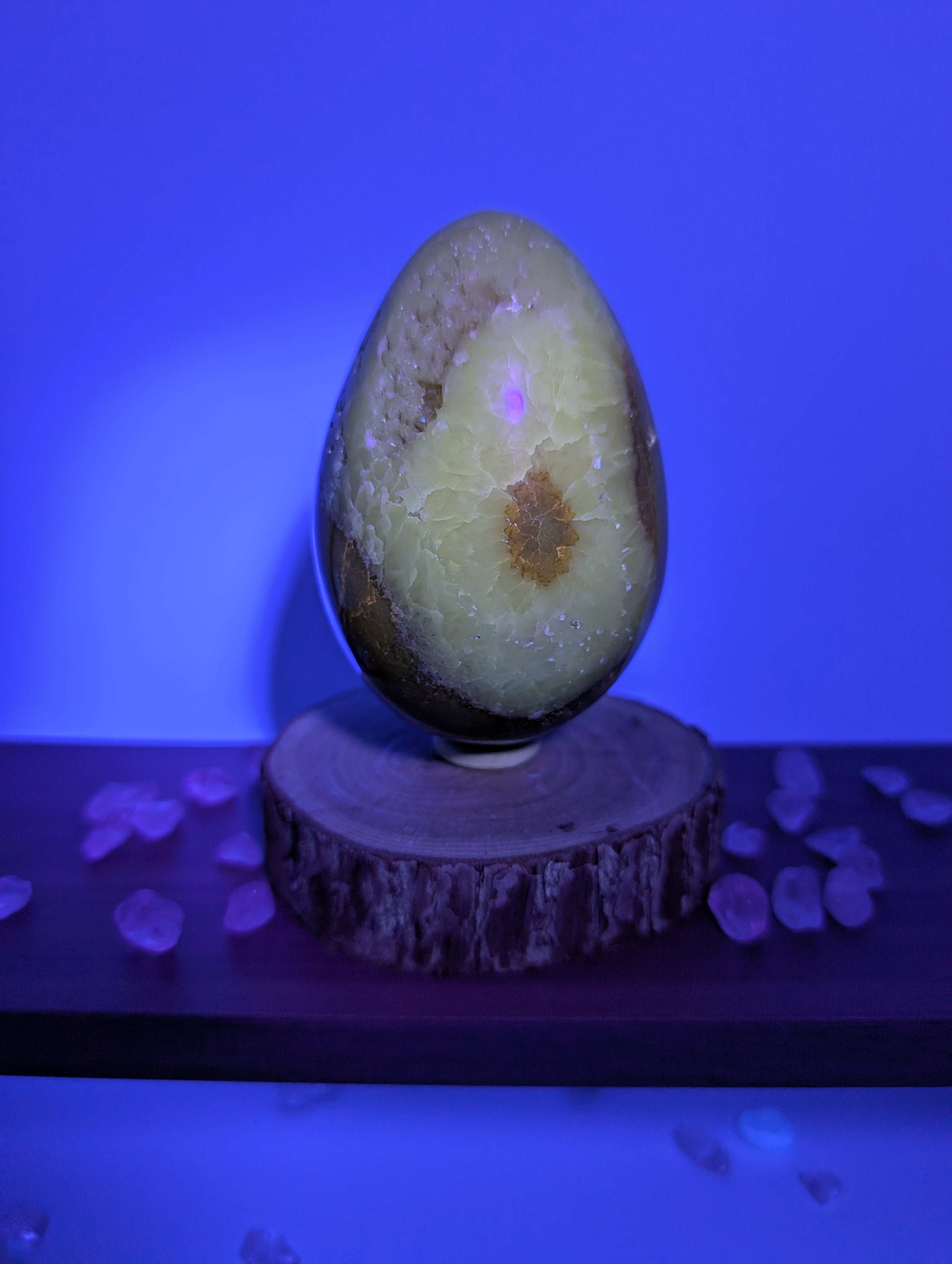 Septarien Eier