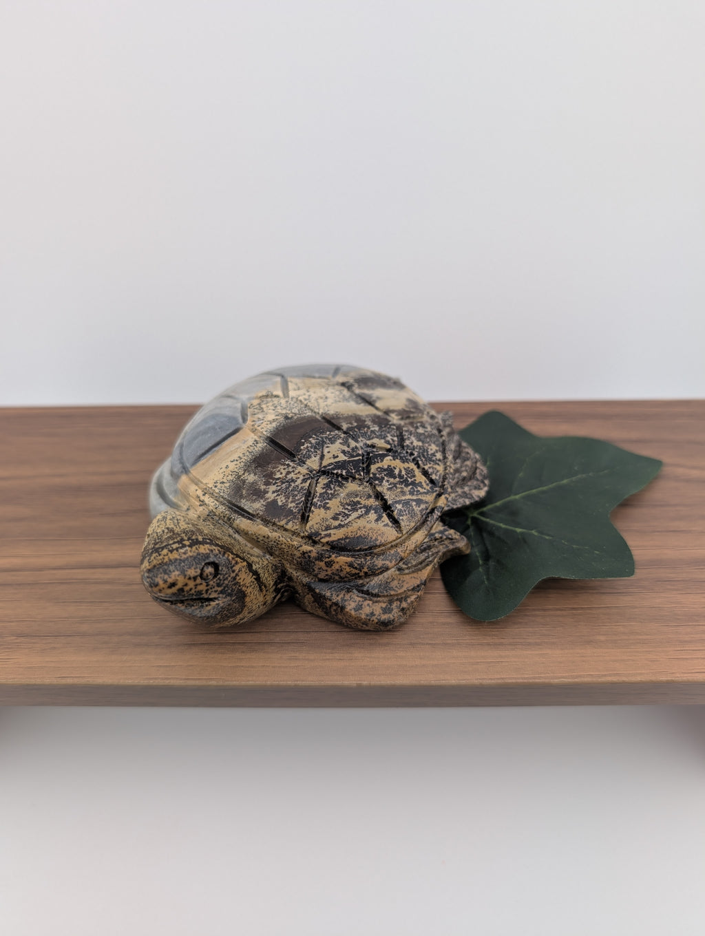 Bilder Jaspis Schildkröte