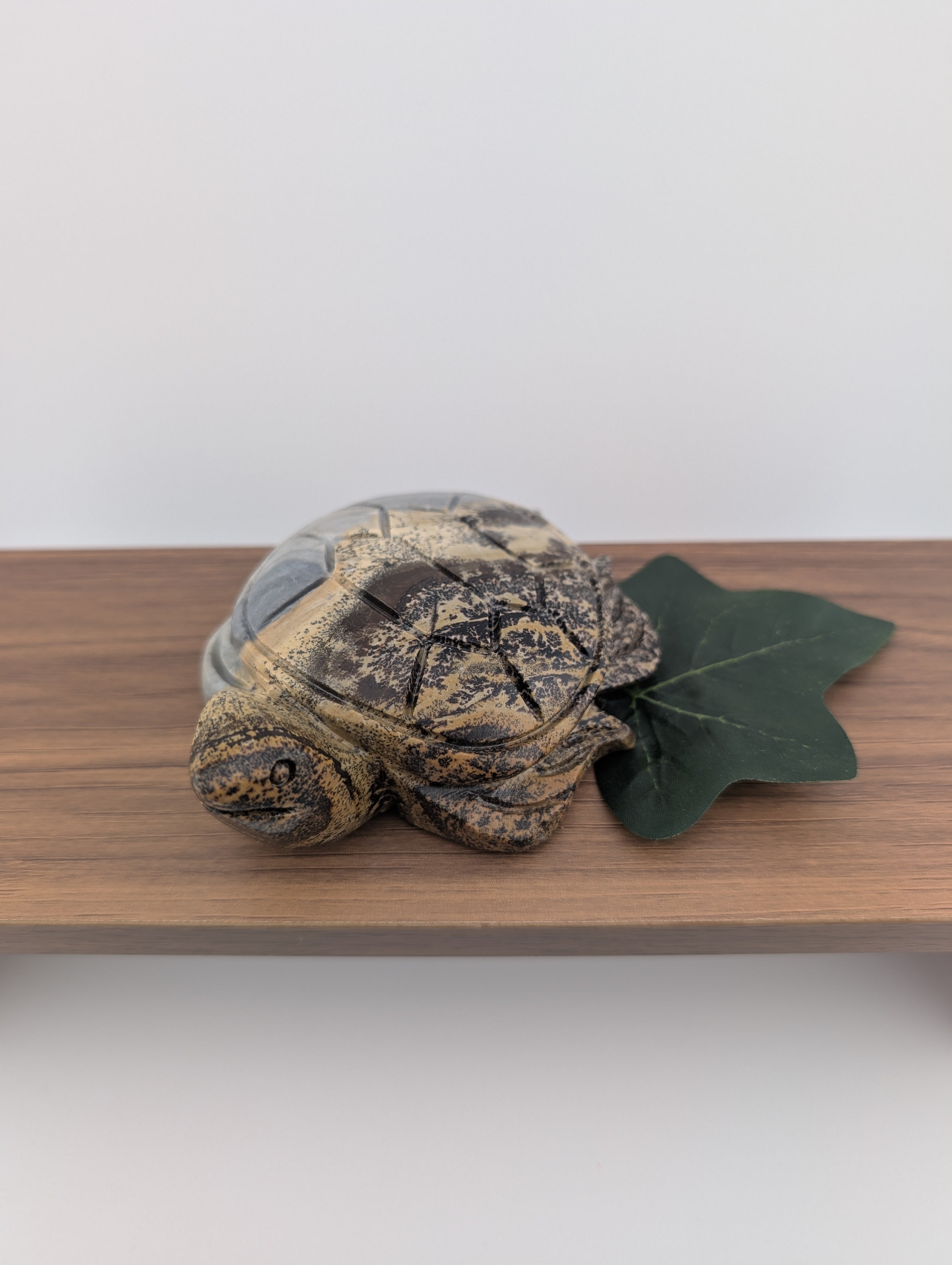 Bilder Jaspis Schildkröte
