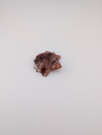 Feuerquarz Schildkröte