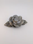 Moosachat Blume