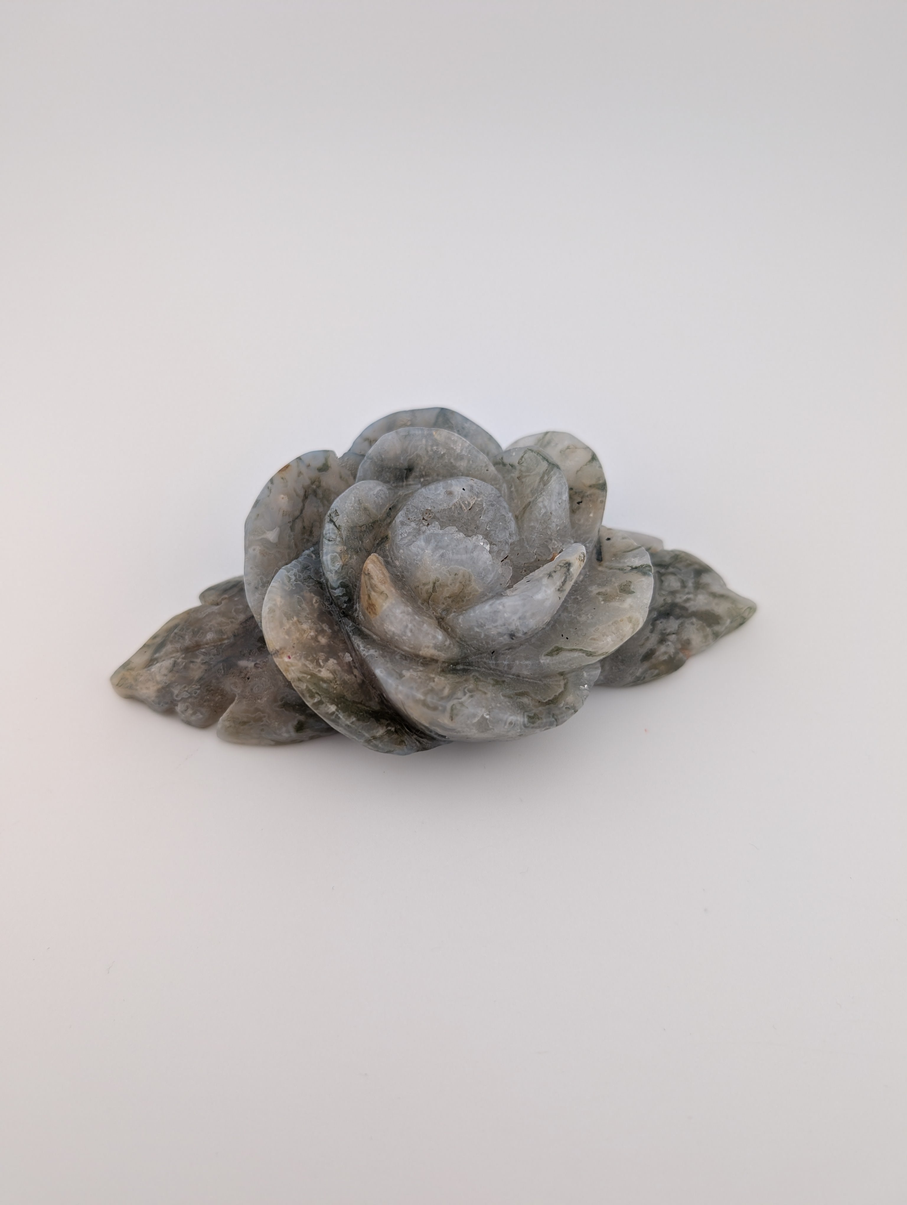 Moosachat Blume