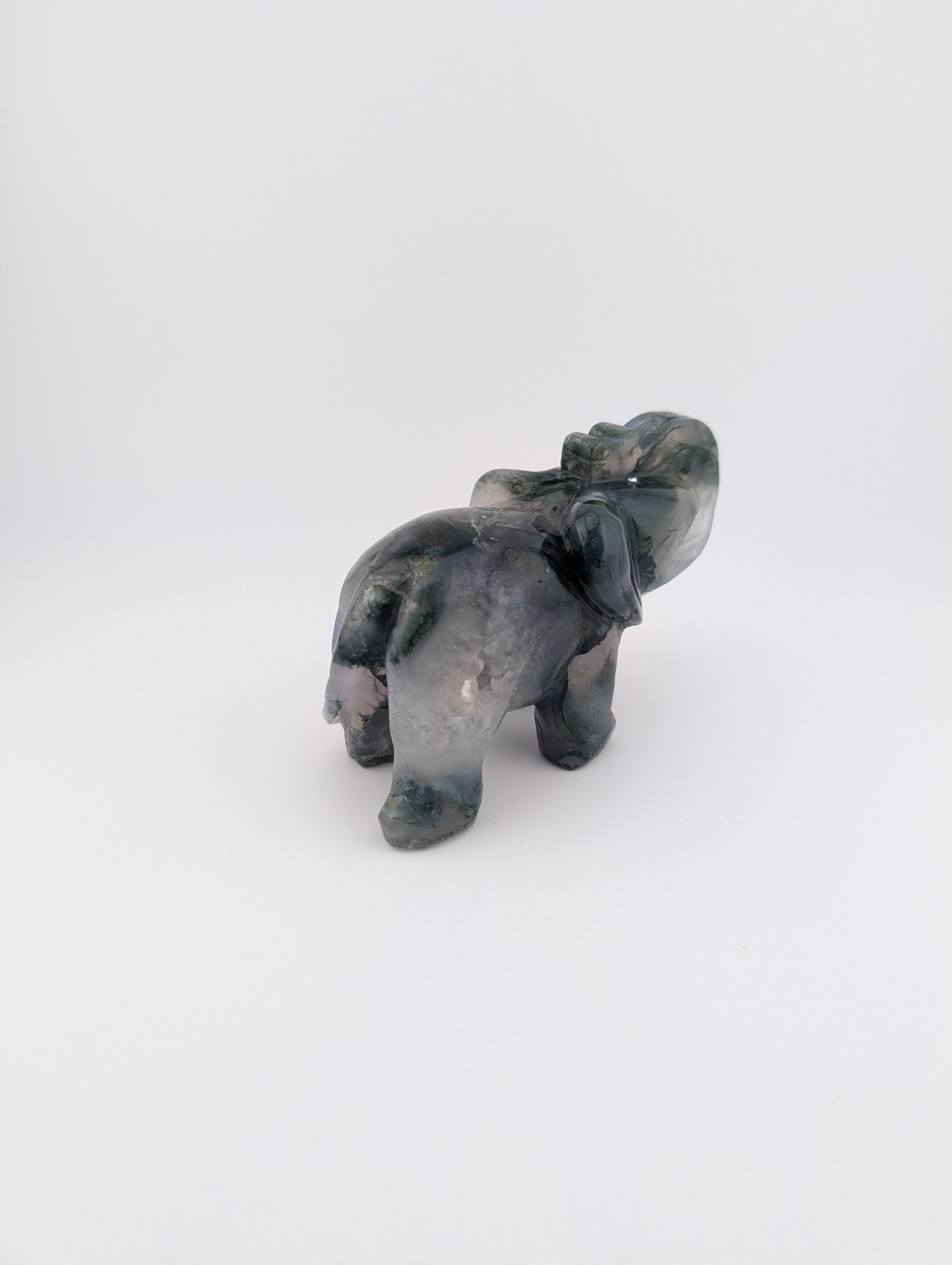 Moosachat Elefant