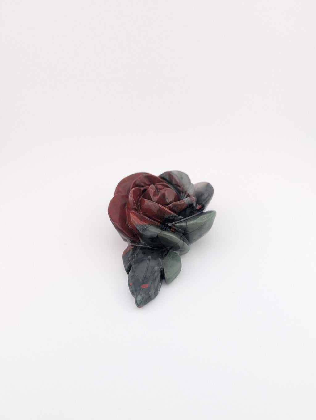 Afrikanischer Blutstein Blume