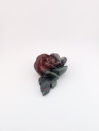 Afrikanischer Blutstein Blume