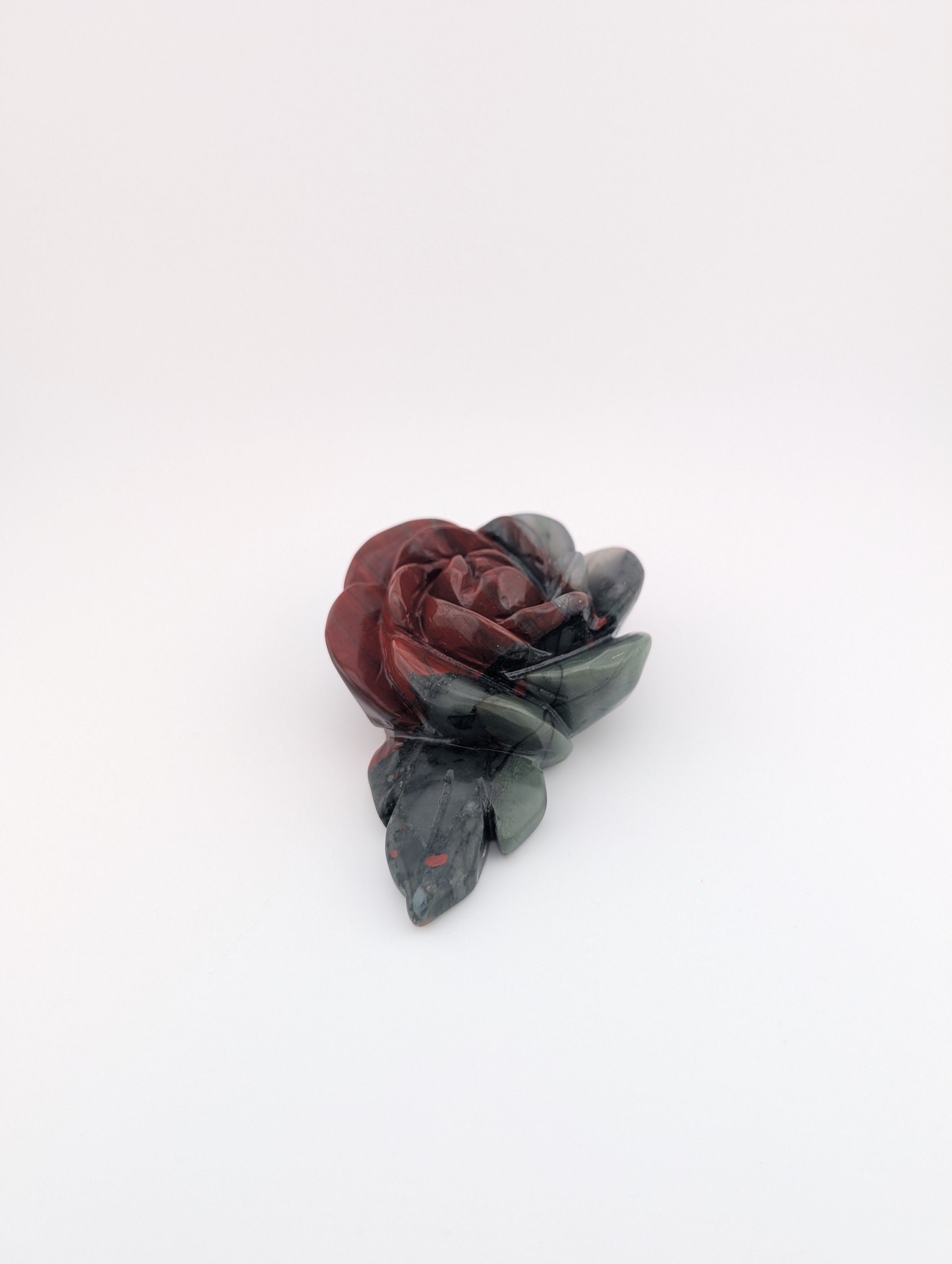 Afrikanischer Blutstein Blume