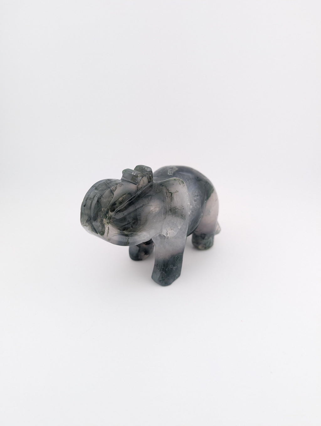 Moosachat Elefant