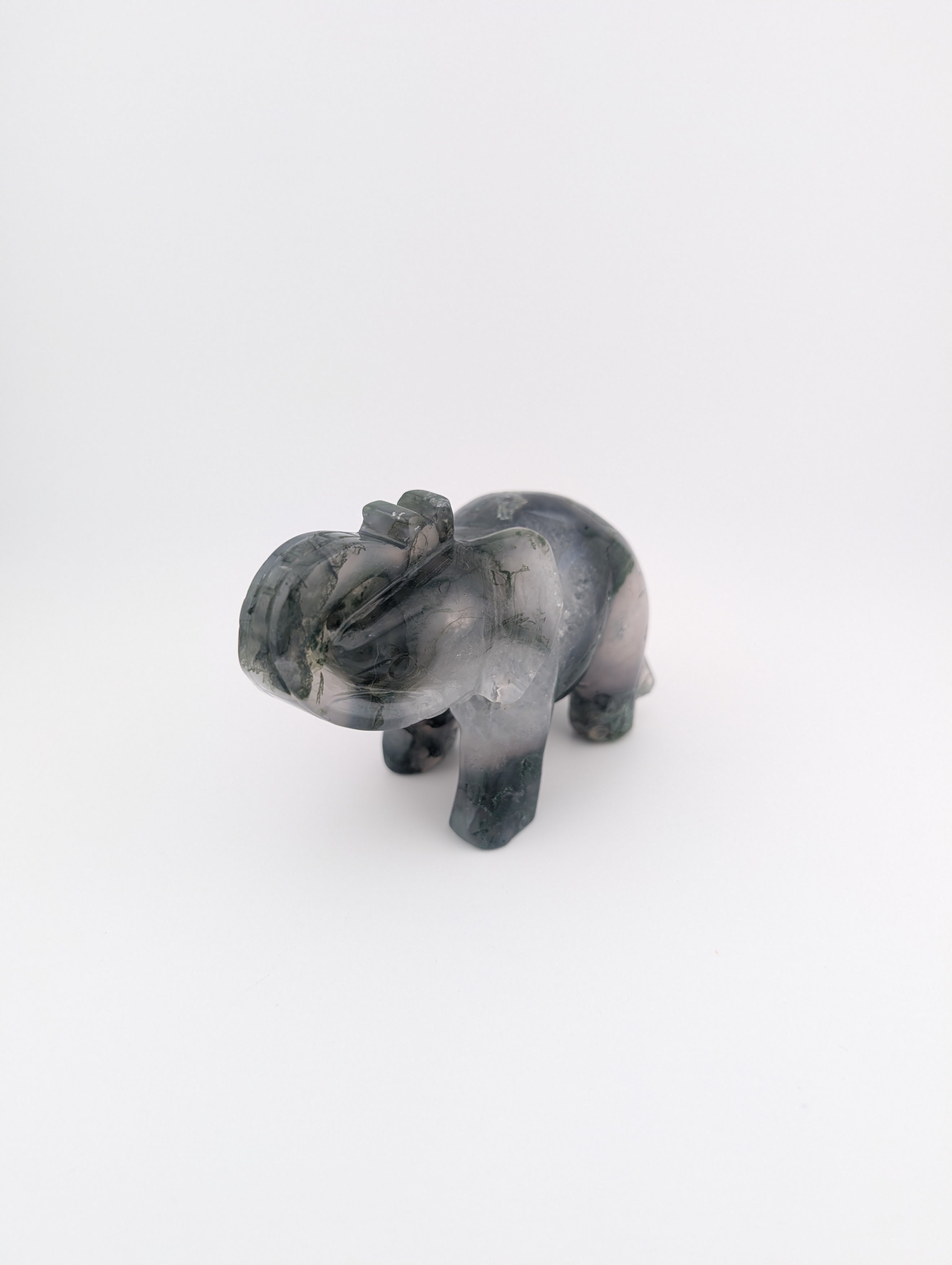 Moosachat Elefant